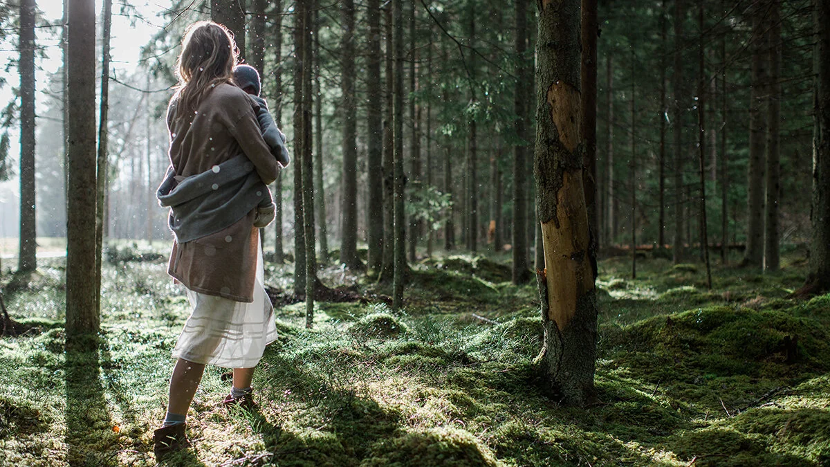 91_Forest Light_Stina Kase_7379016.jpg