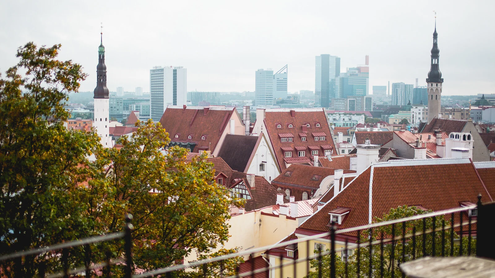 2405_Tallinn Old Town rooftops_Kaspar Orasmäe_931933.jpg
