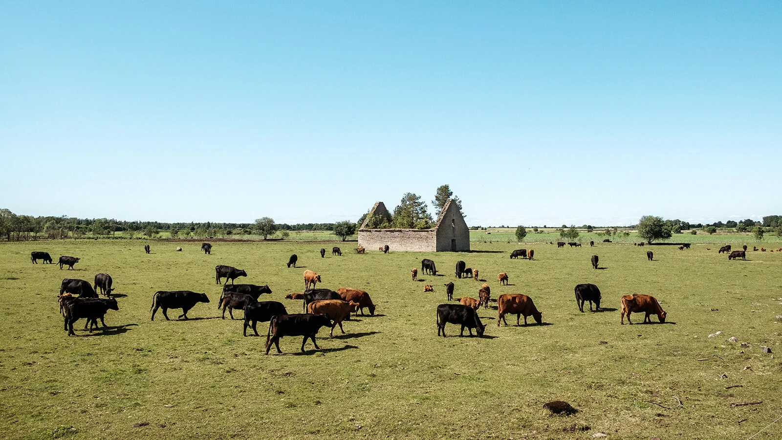 1857_Countryside_Renee Altrov_10716100.jpg