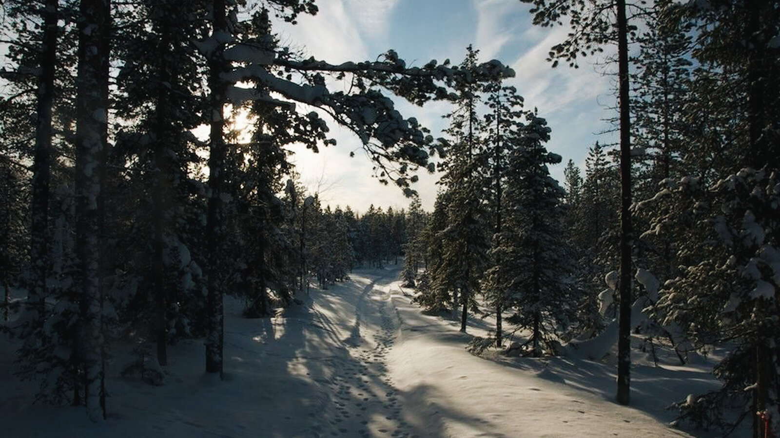 Lapland-45.jpg