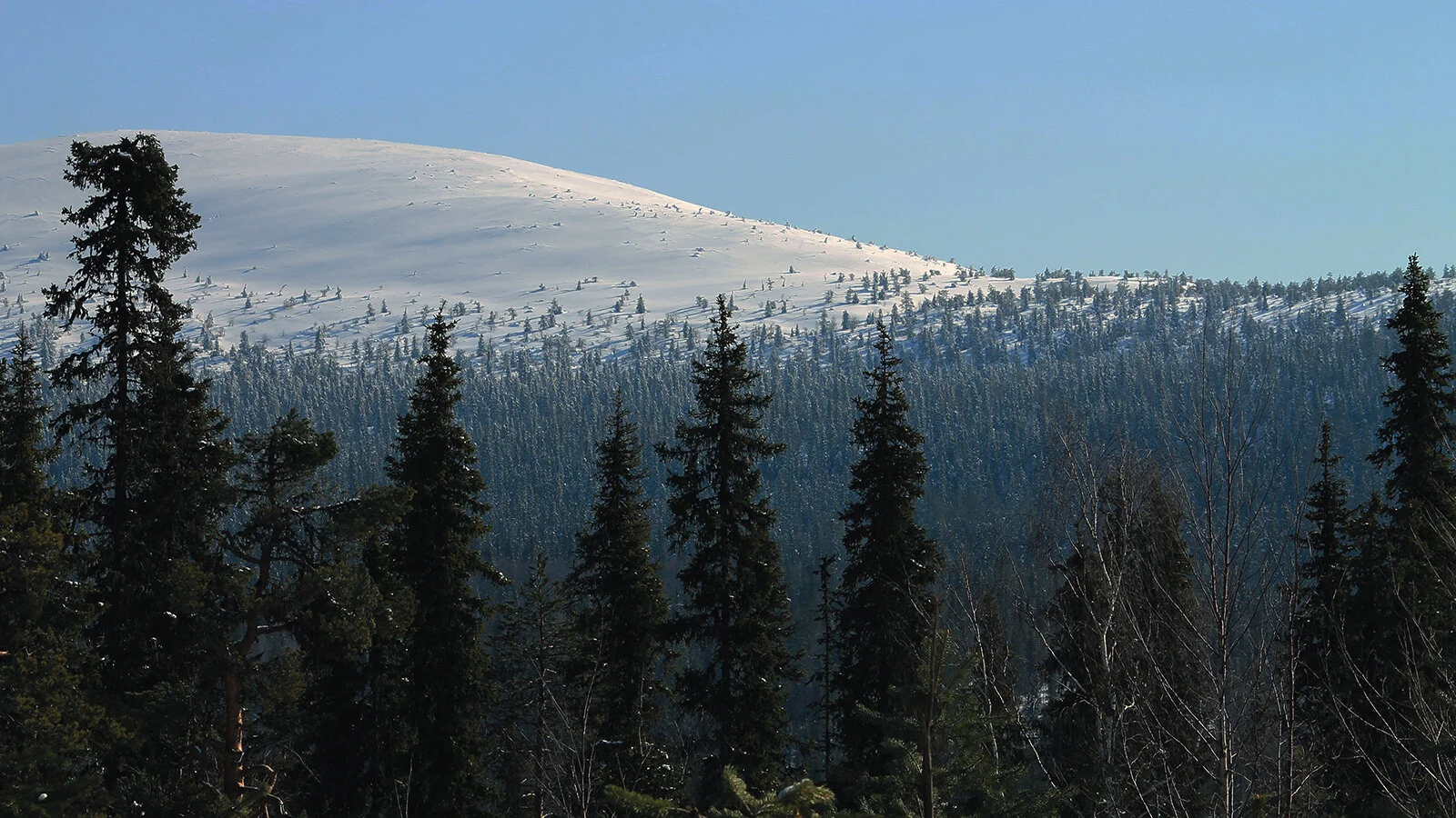 Lapland-53.jpg