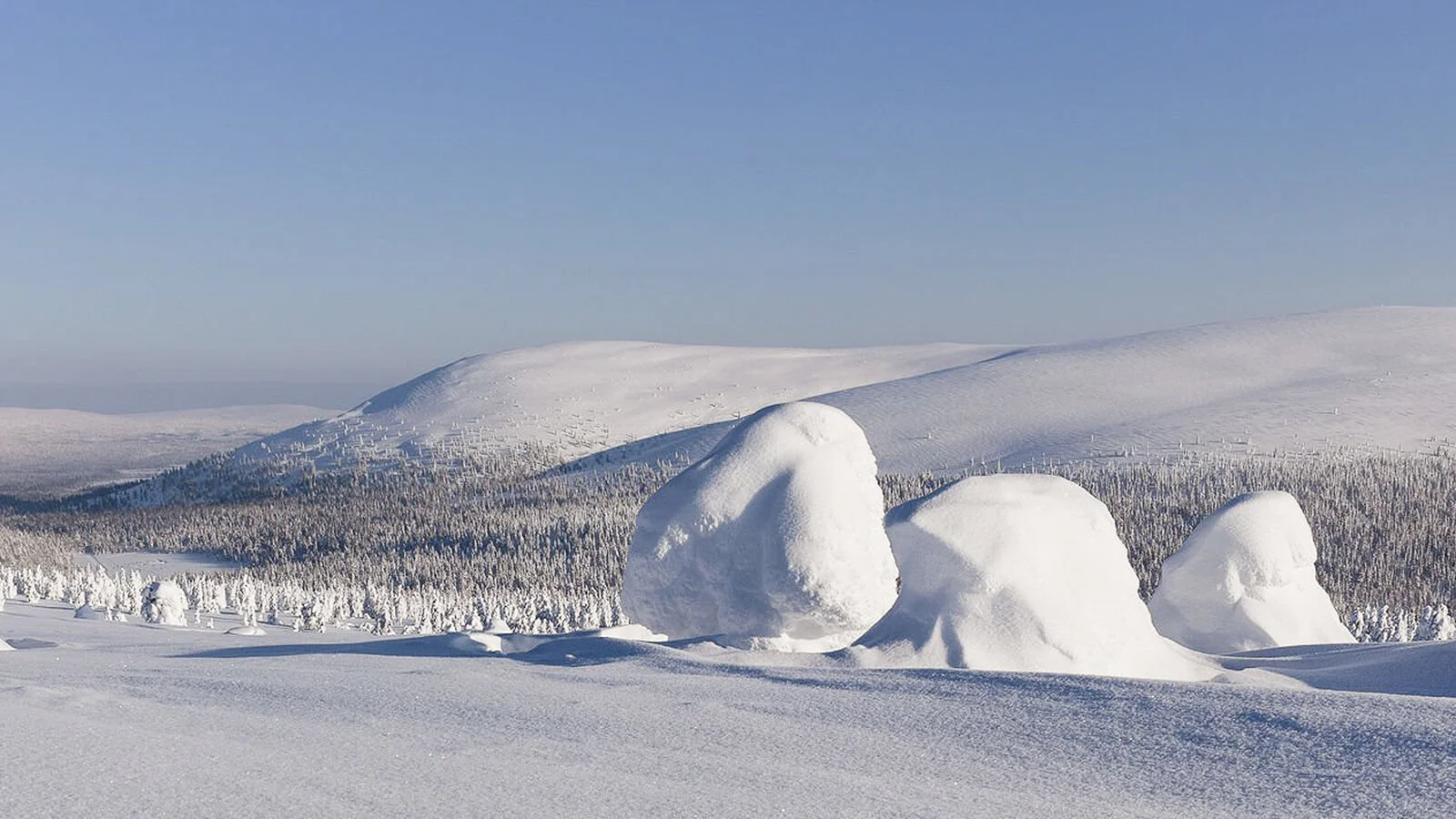 Lapland-21.jpg