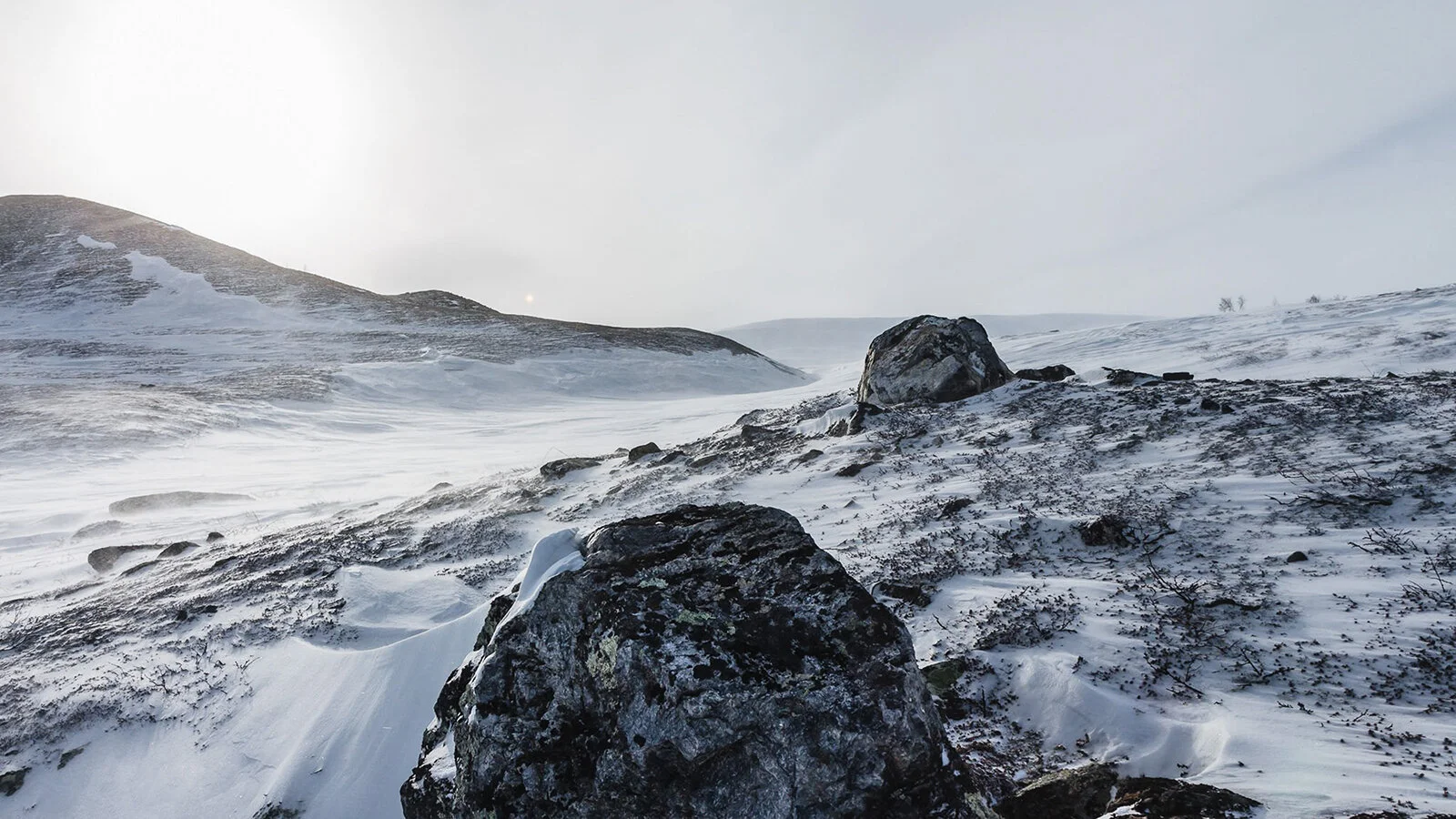 Lapland-29.jpg