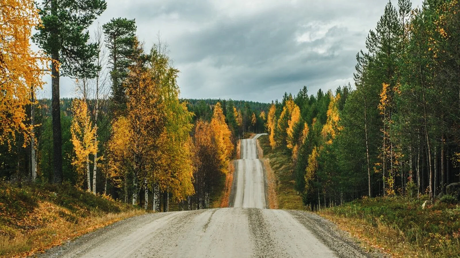 Lapland-18.jpg