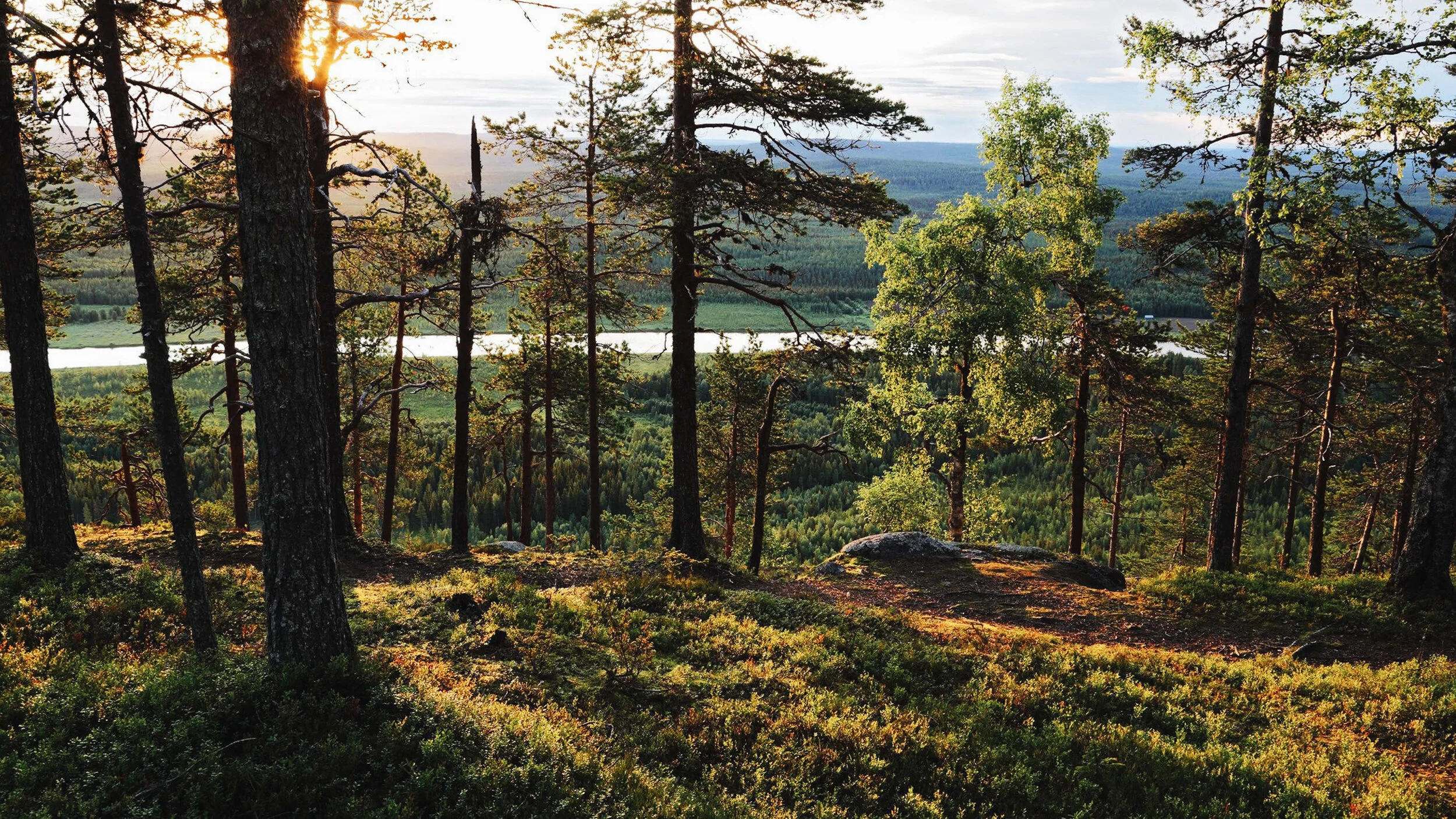 Lapland-35.jpg