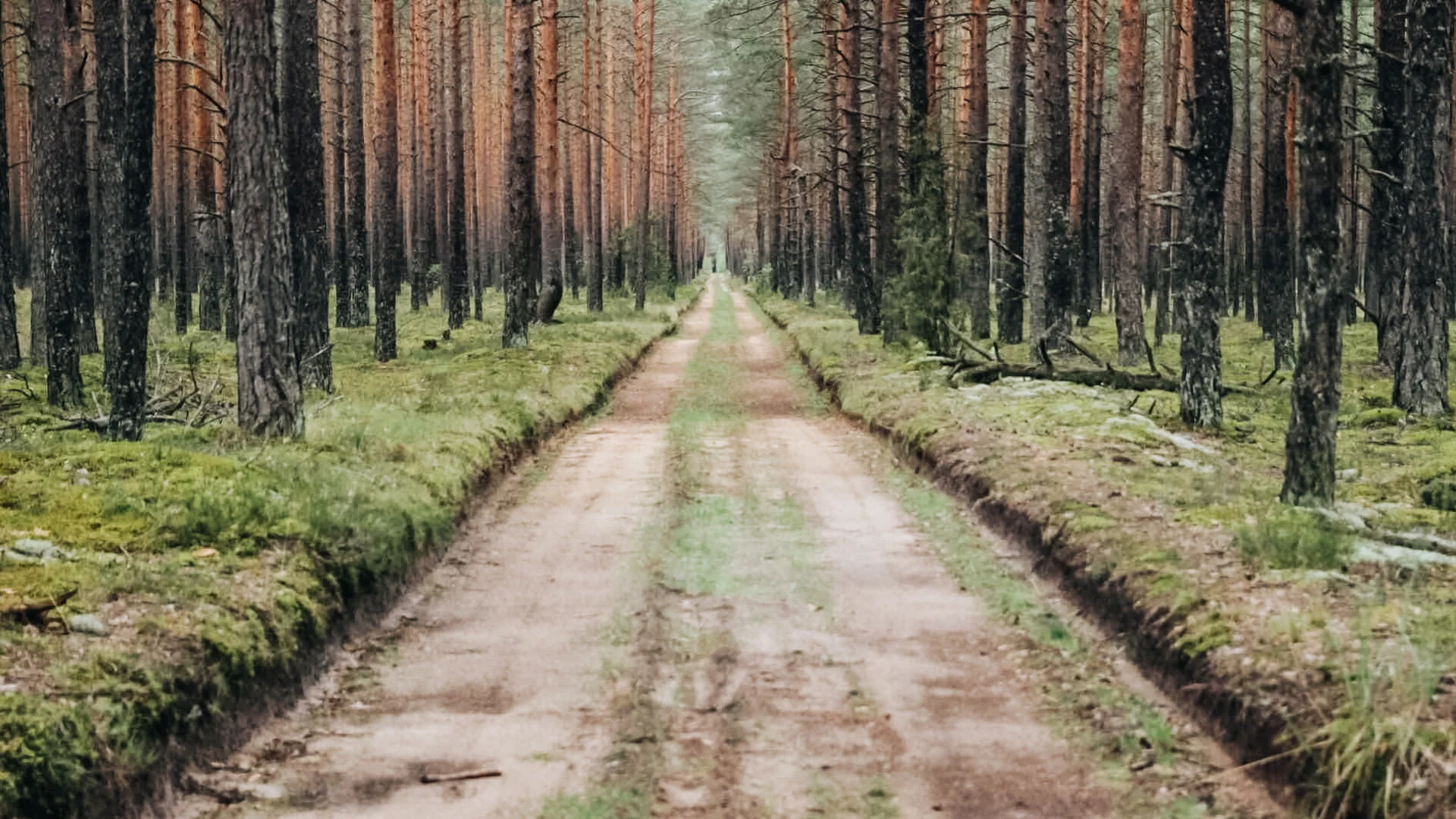 Latvia-37.jpg