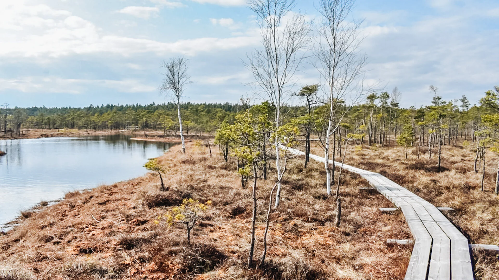 Latvia-44.jpg