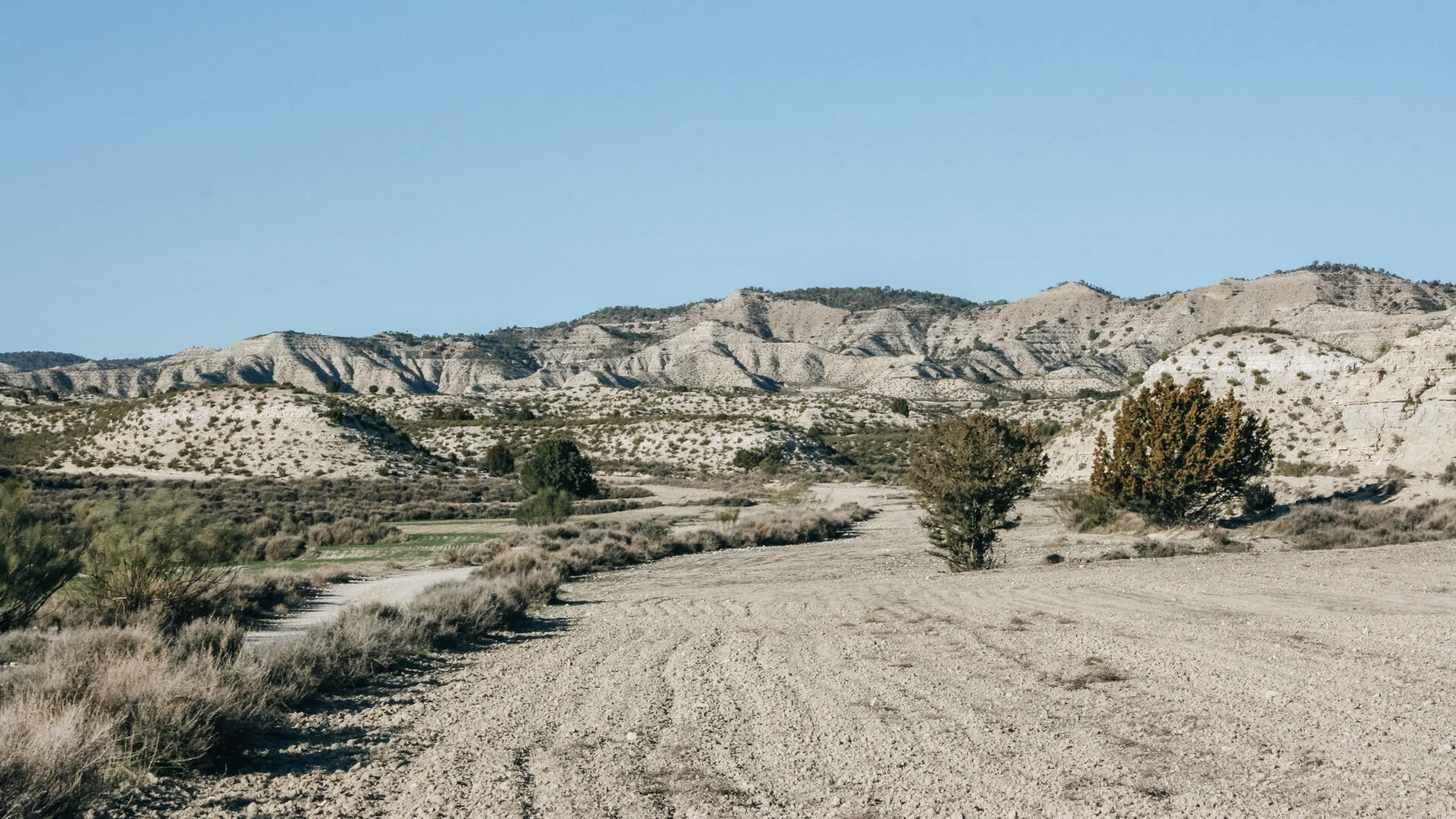 Desert-2.jpg