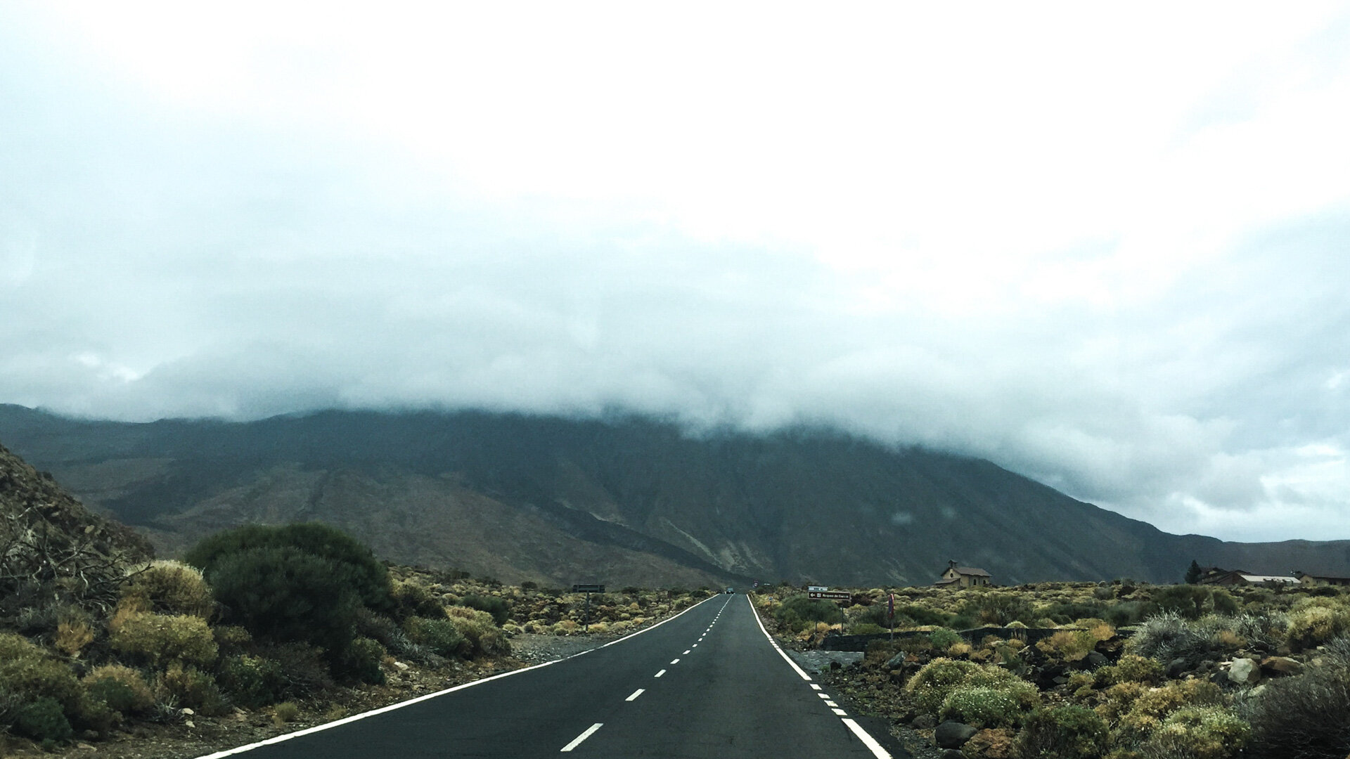 Road-1.jpg