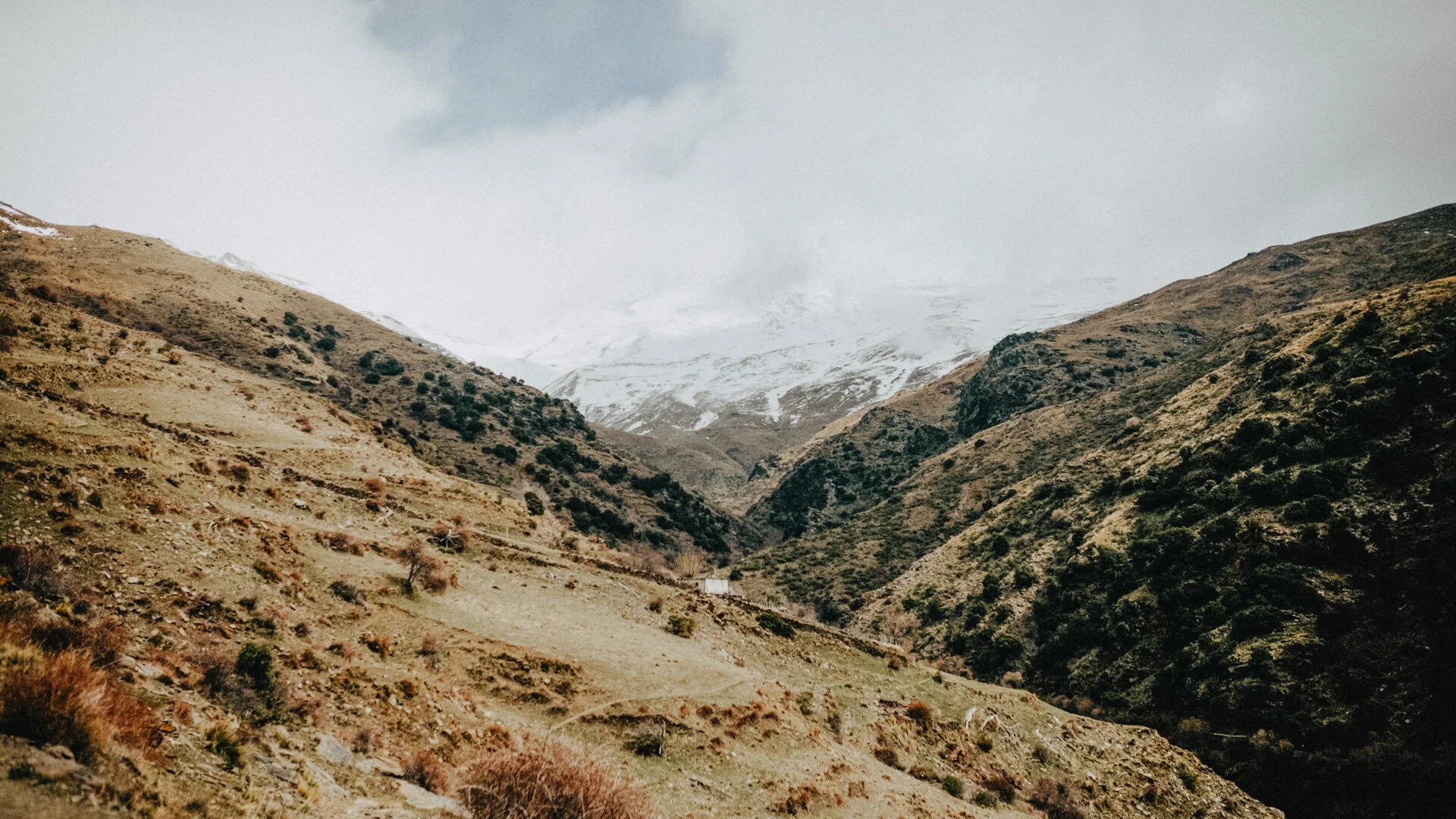 Mountain-5.jpg