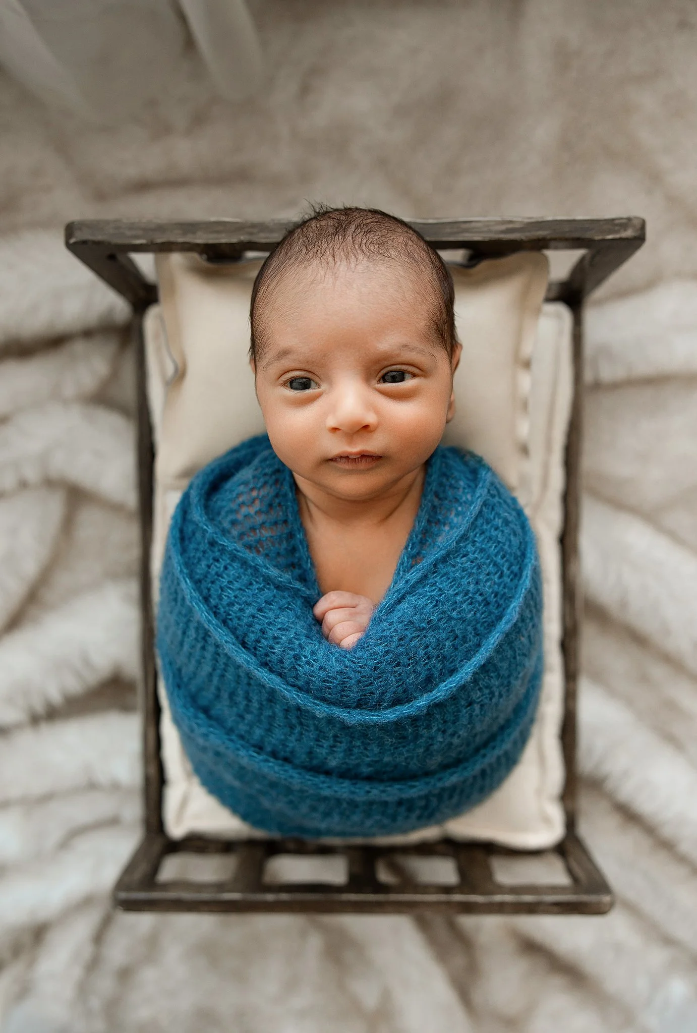 awake newborn baby looking toward the camera during a studio photography session