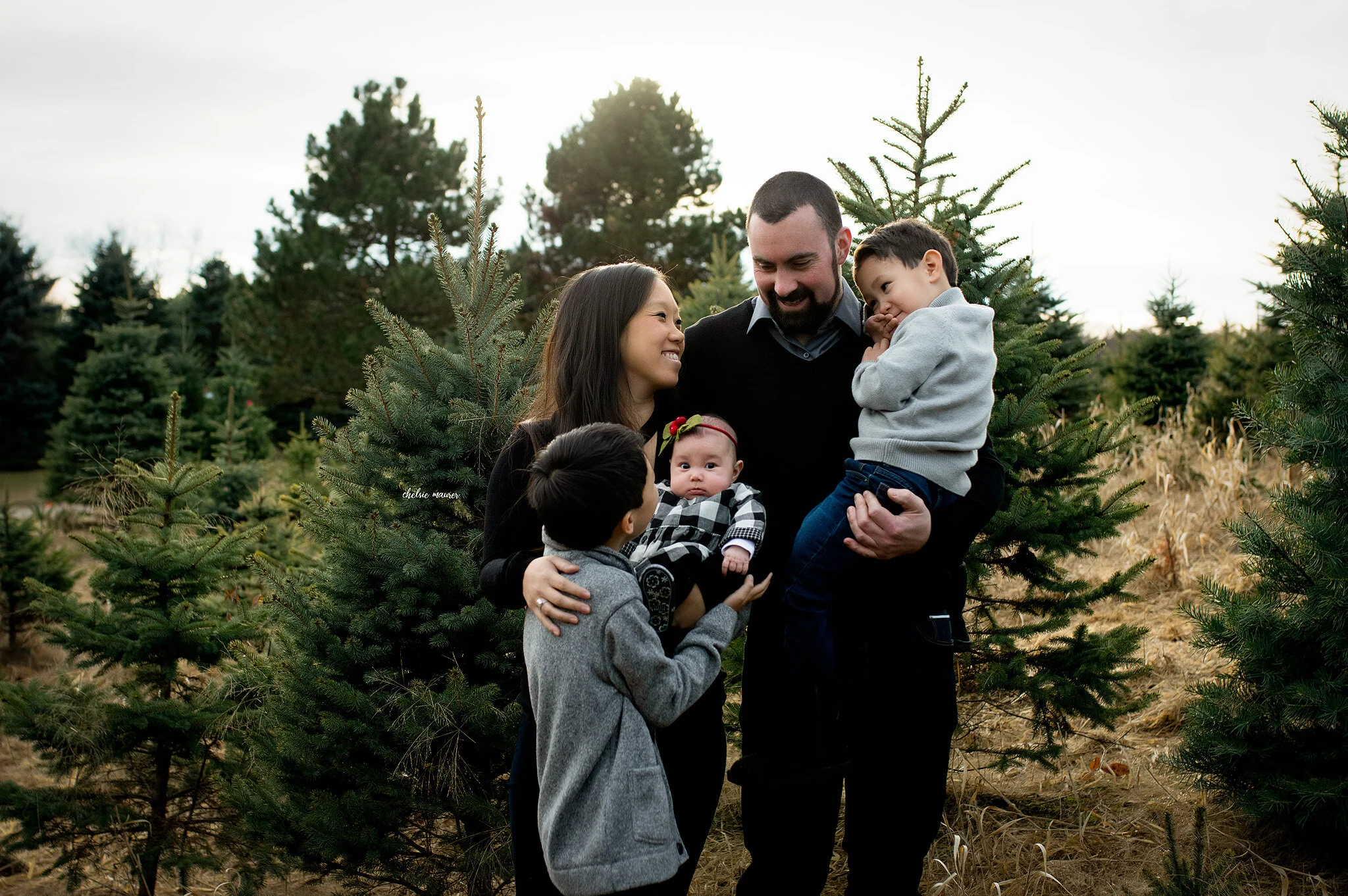 Family Christmas Tree Farm Mini Sessions Limited Edition Holiday Minis Chelsie Maurer Photography