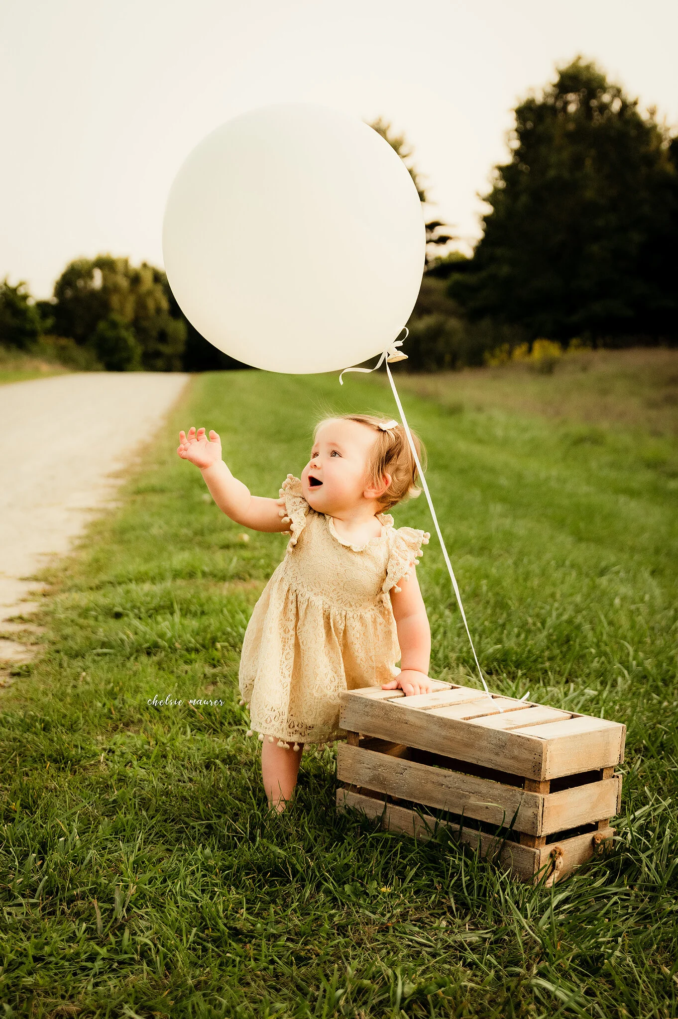 Clearance year baby photoshoot Top Sellers