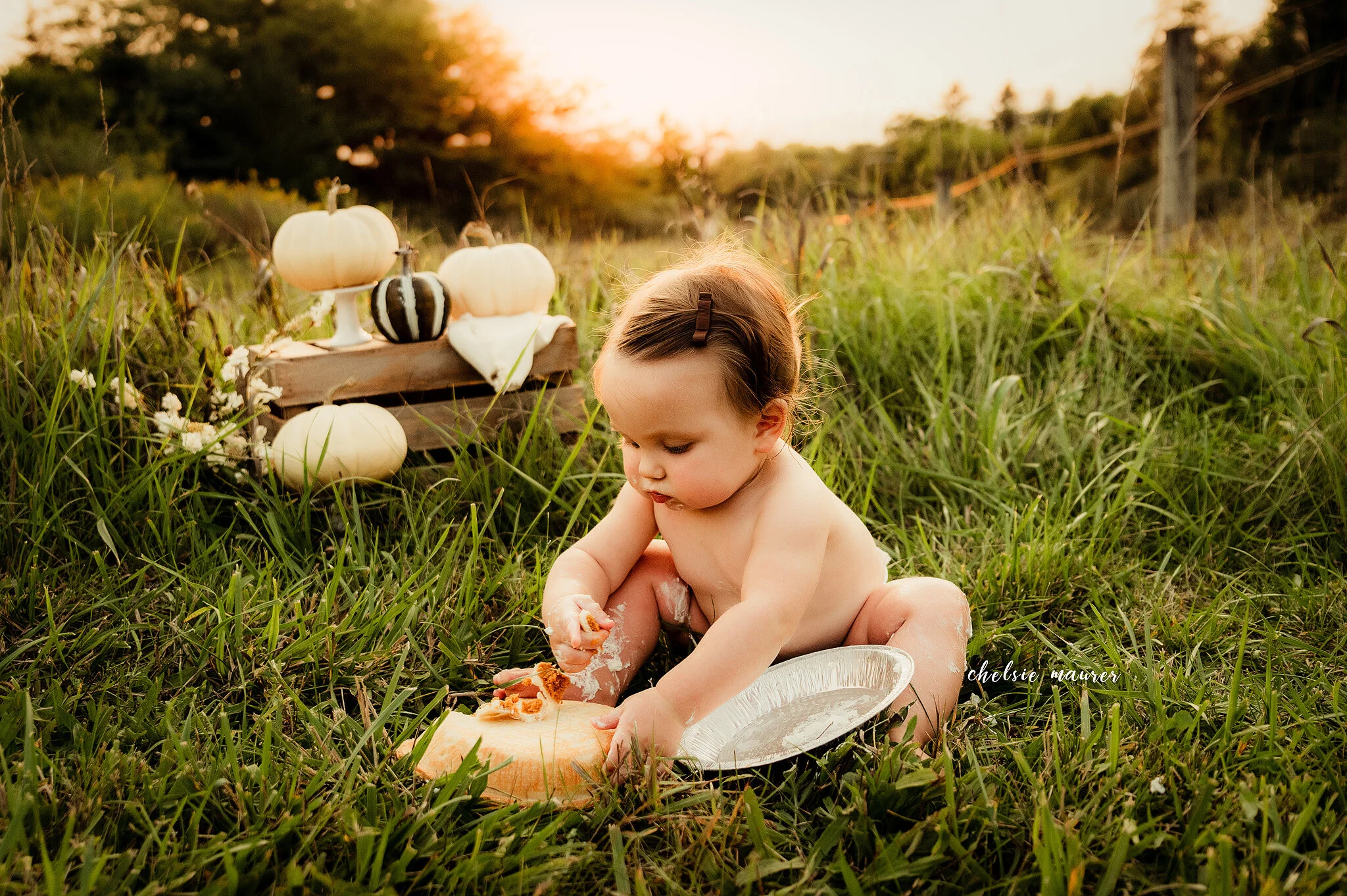 best baby photographer michigan