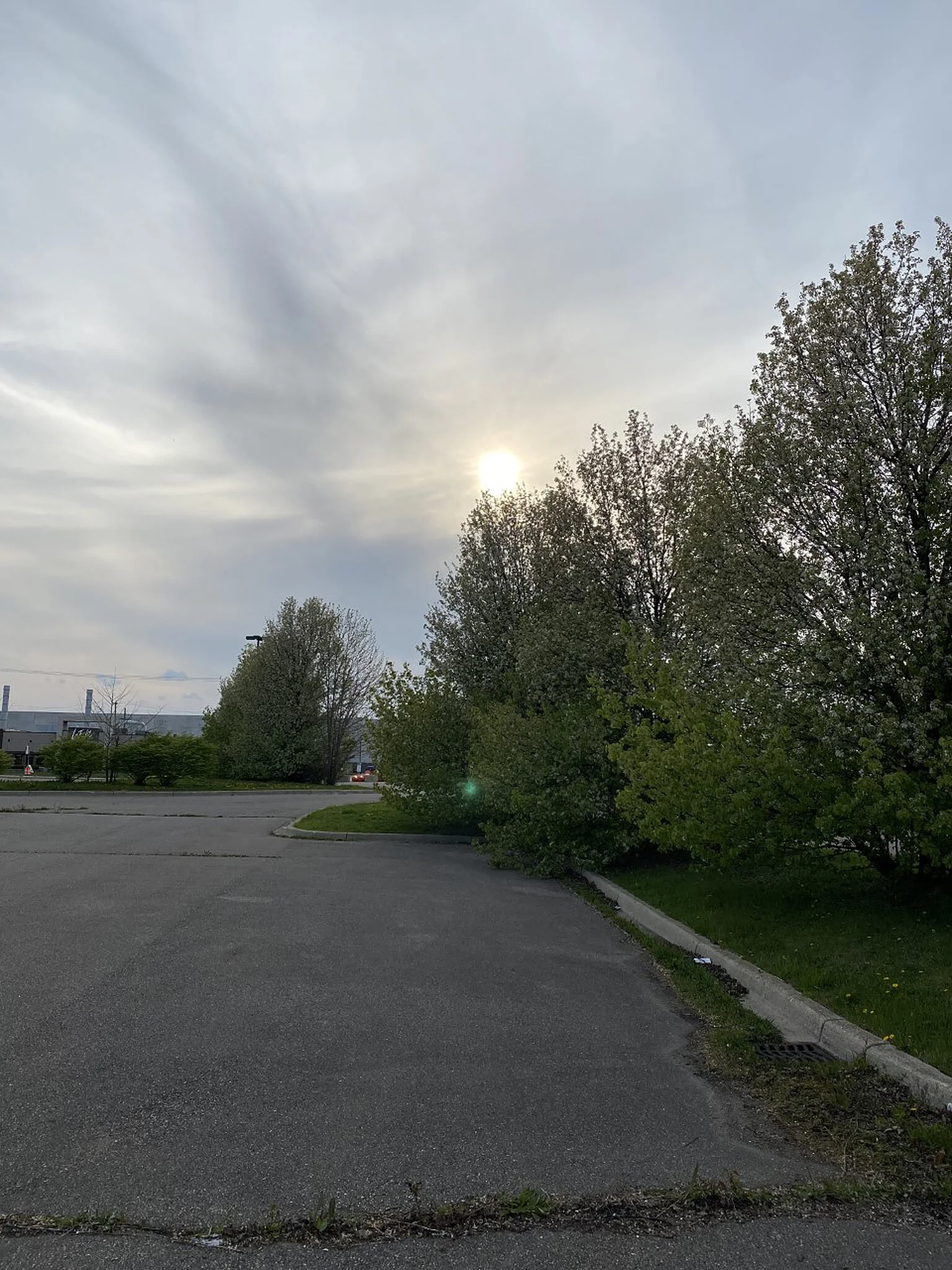 maternity photographer metro detroit