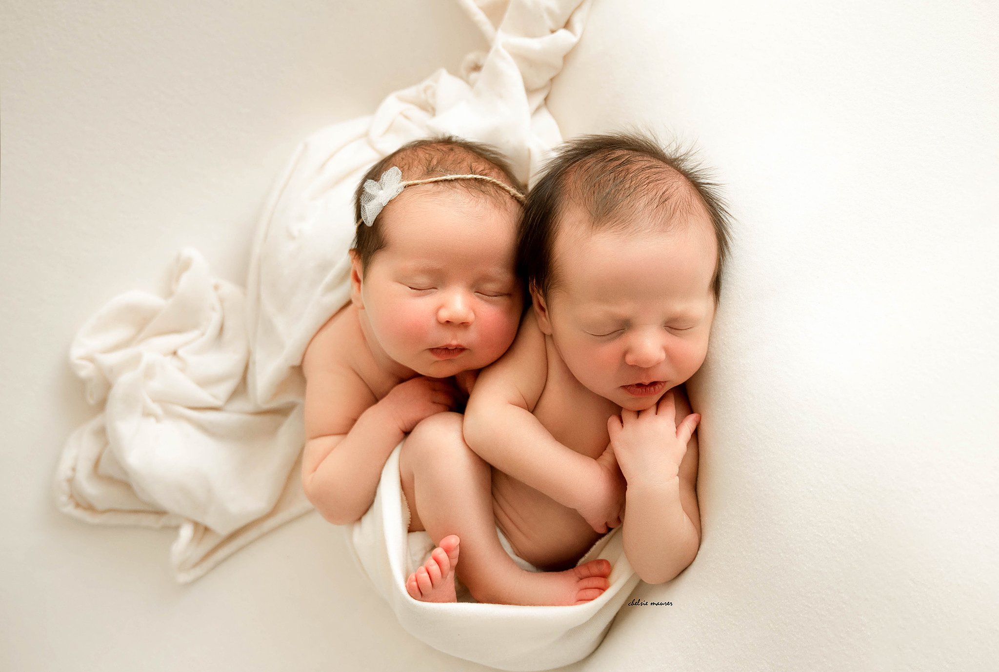 Newborn Twin Photographer Metro Detroit Mi
