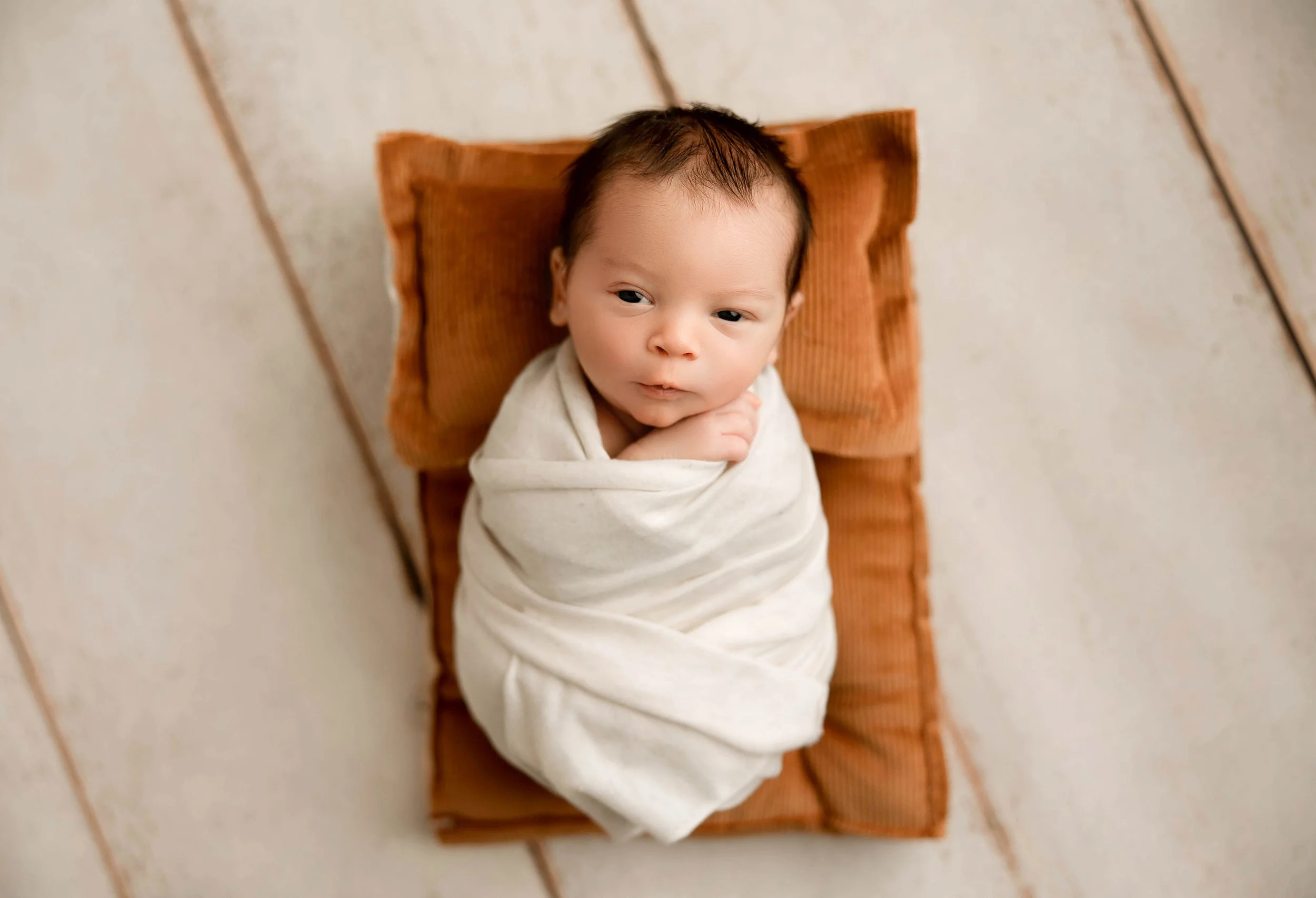 when do i book my newborn session detroit mi