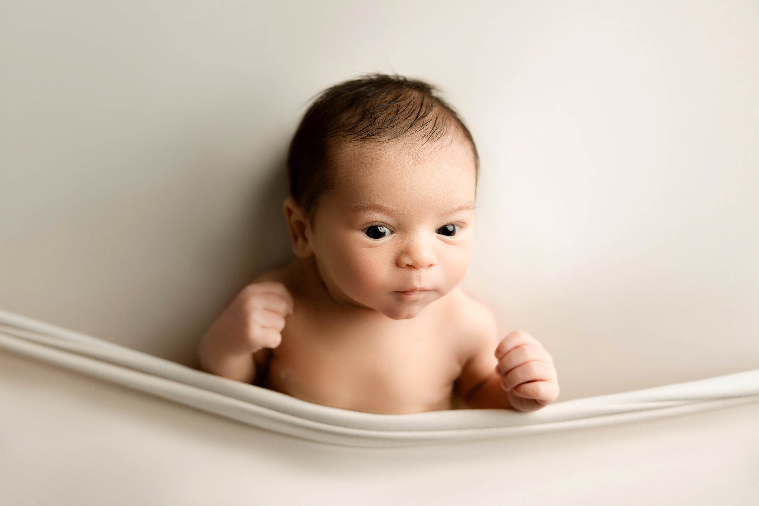 newborn photographer rochester hills mi