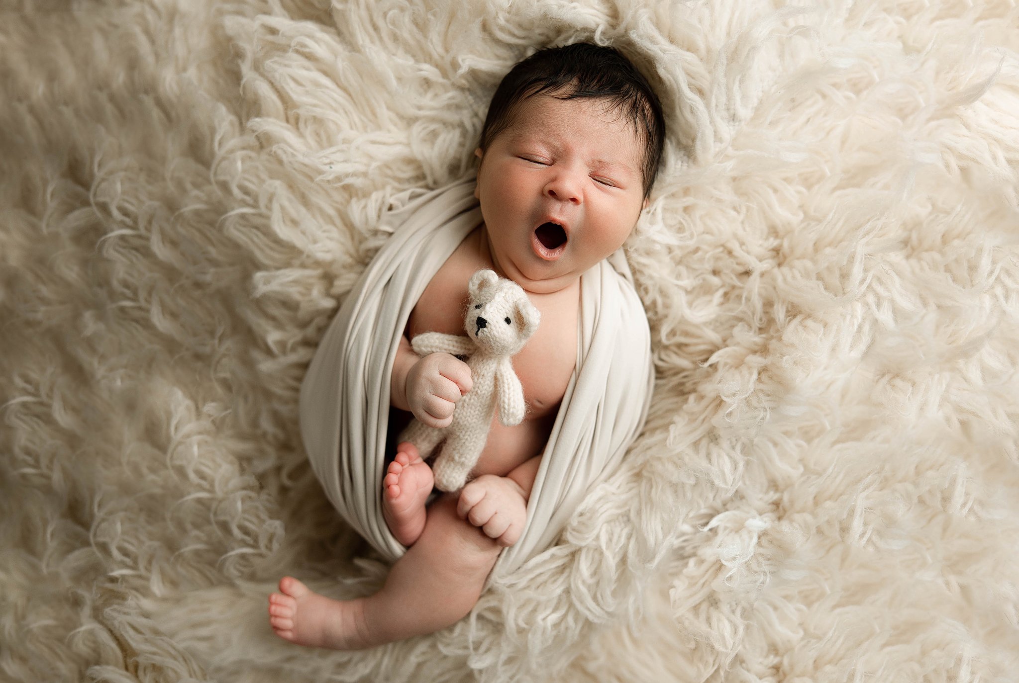 metro detroit newborn photographer