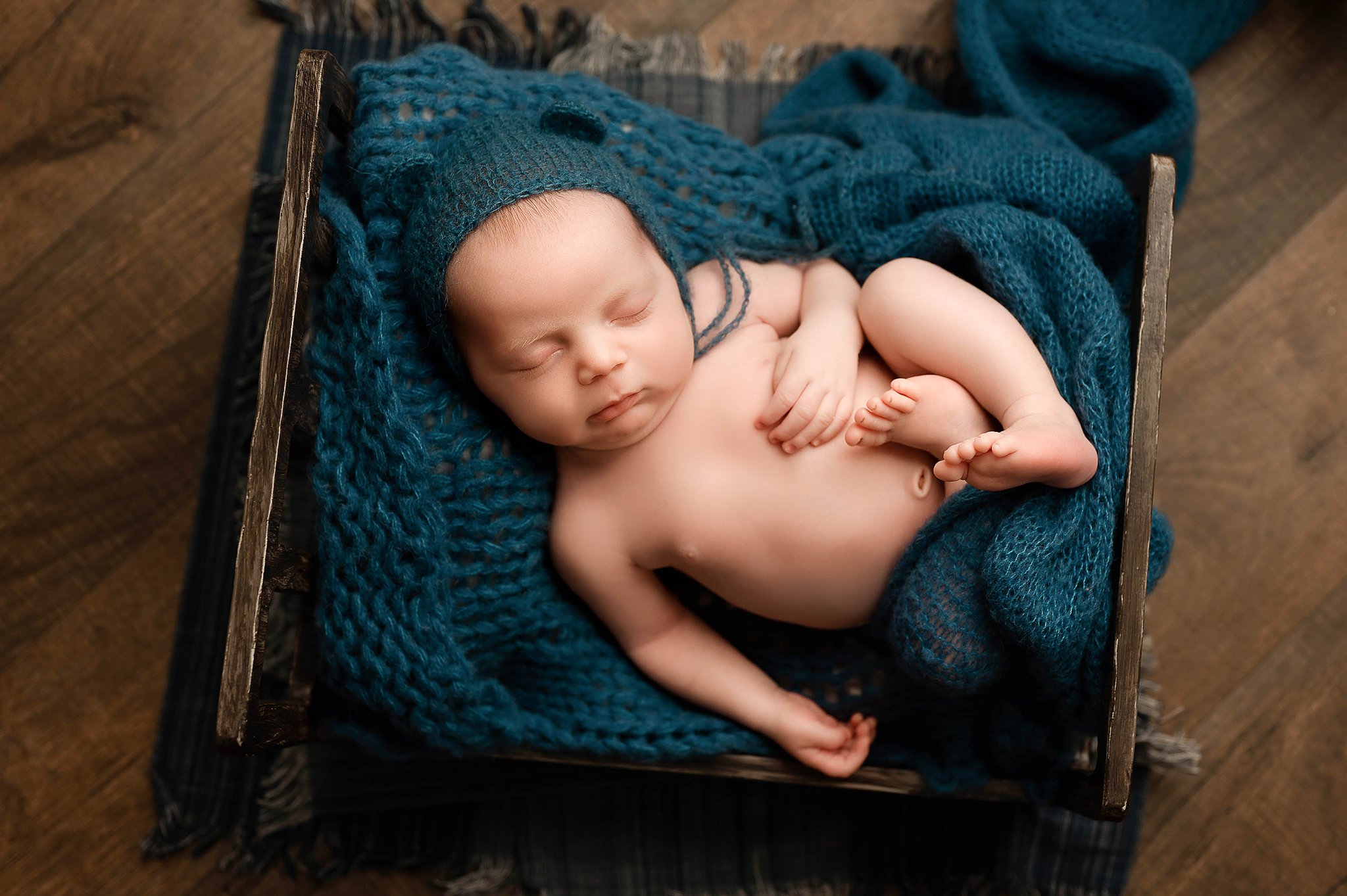 berkley mi newborn photographer