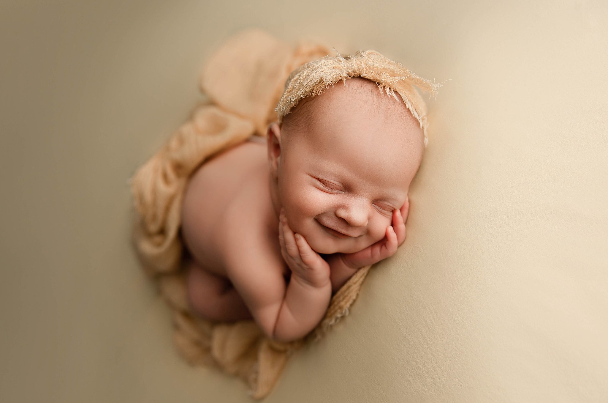 utica mi newborn photographer