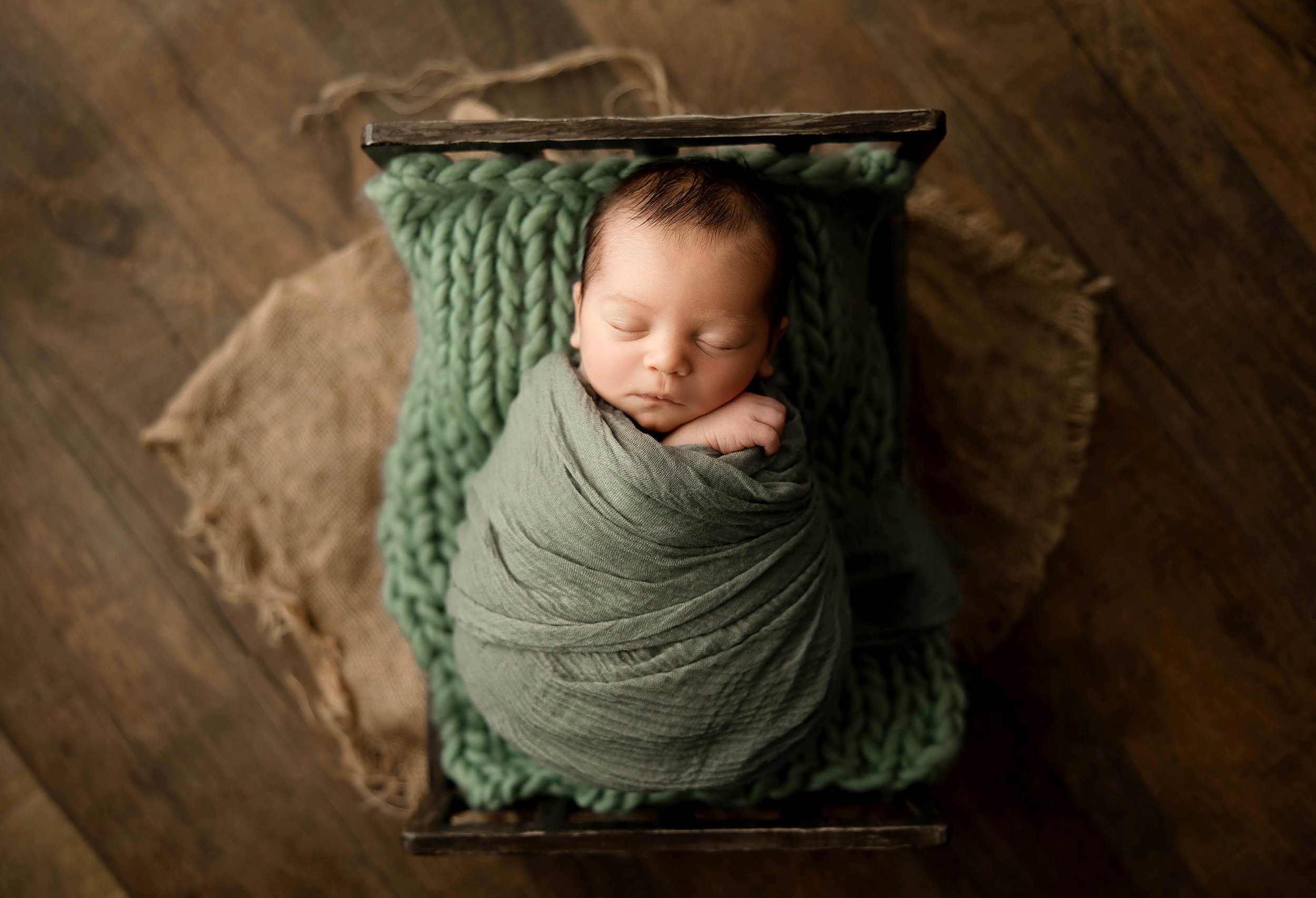 michigan newborn photographer