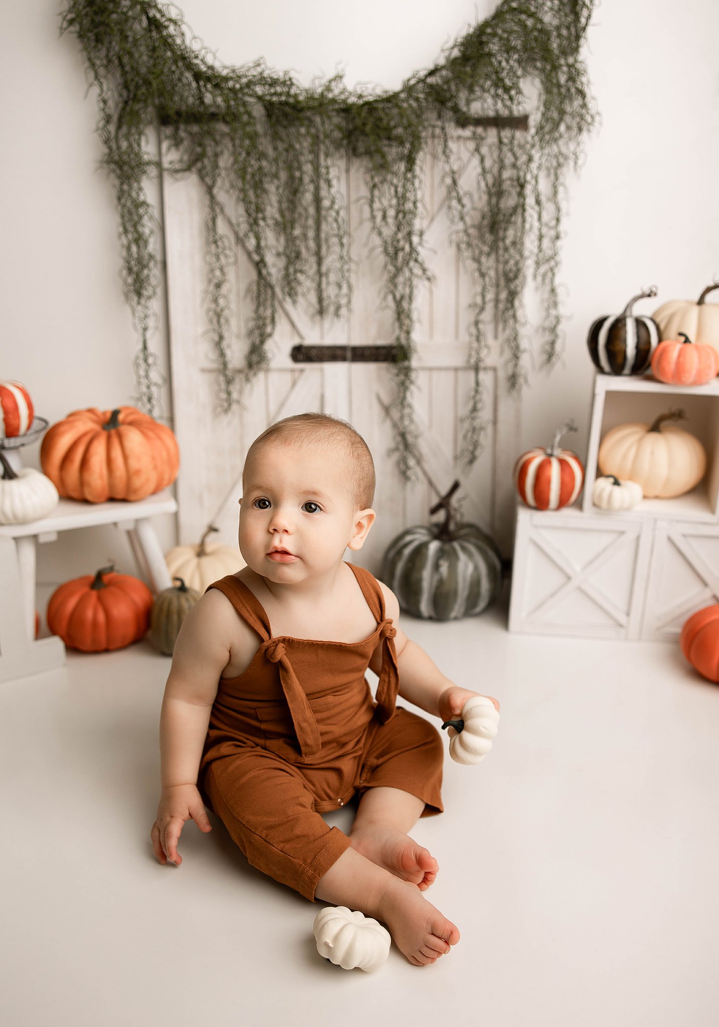 Fall pumpkin cake smash detroit mi