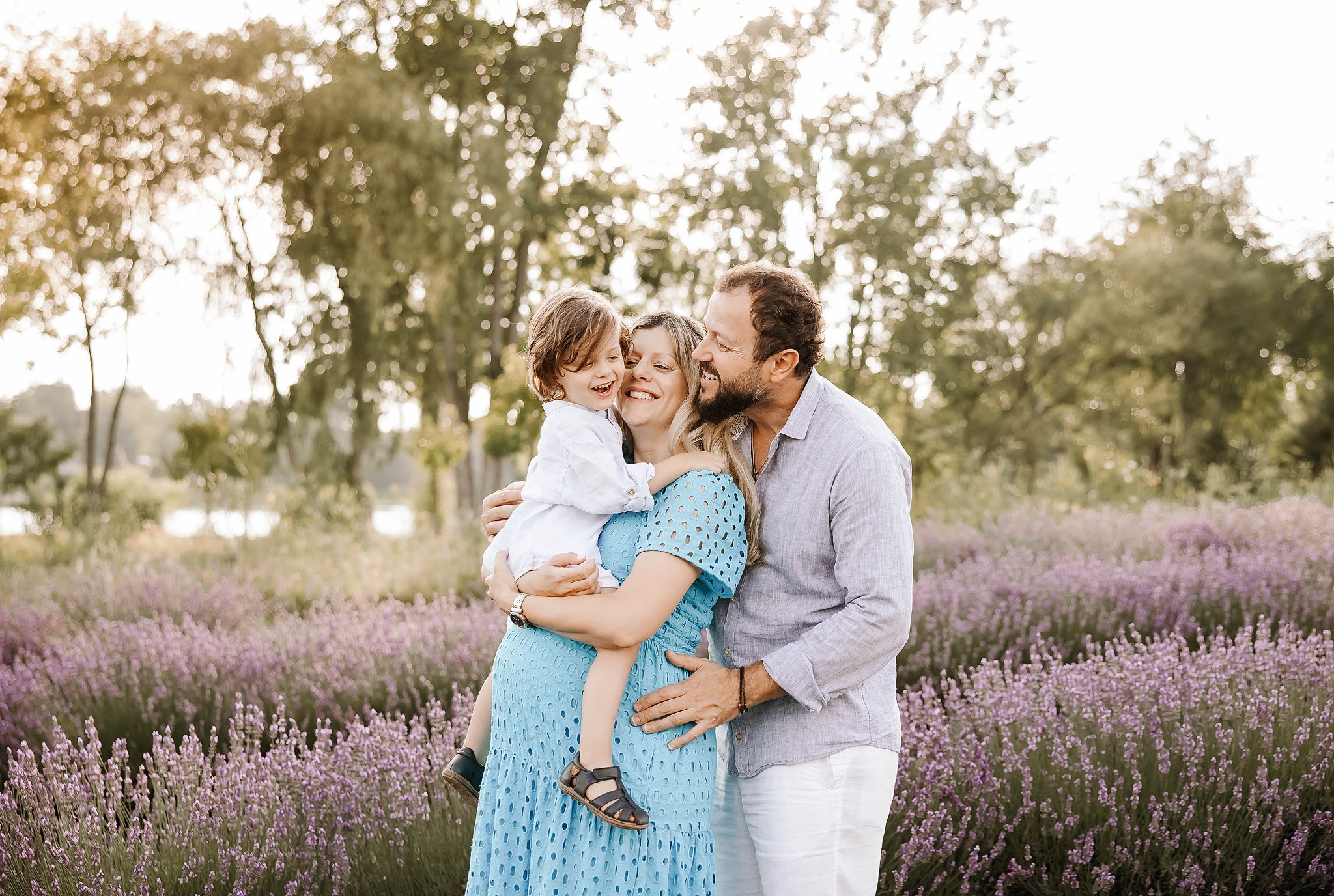 maternity photo shoot at lavender field metro detroit