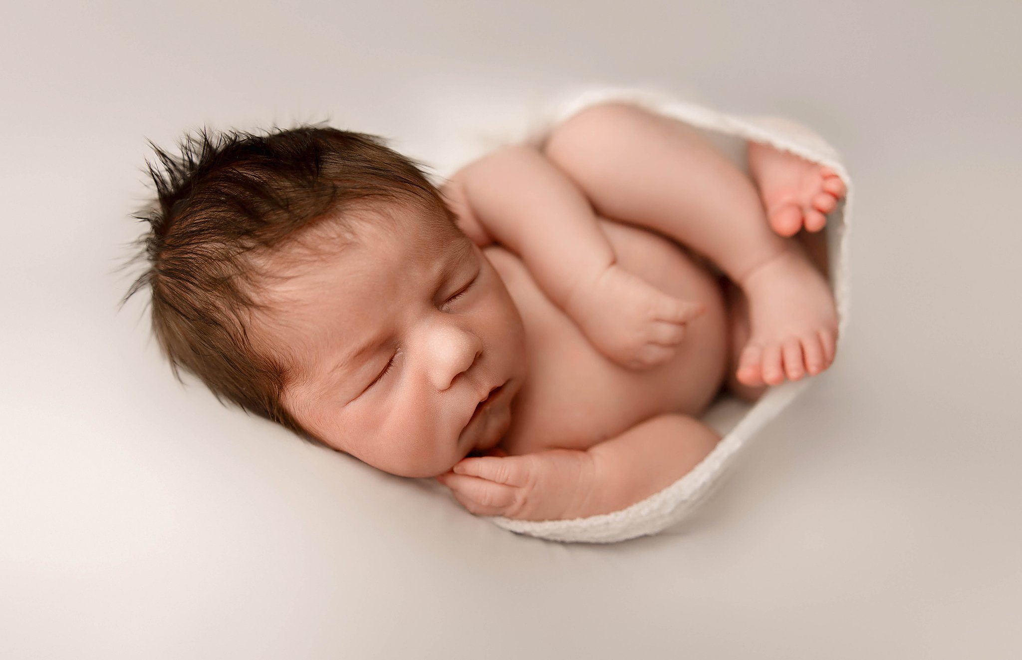 auburn hills michigan newborn photographer