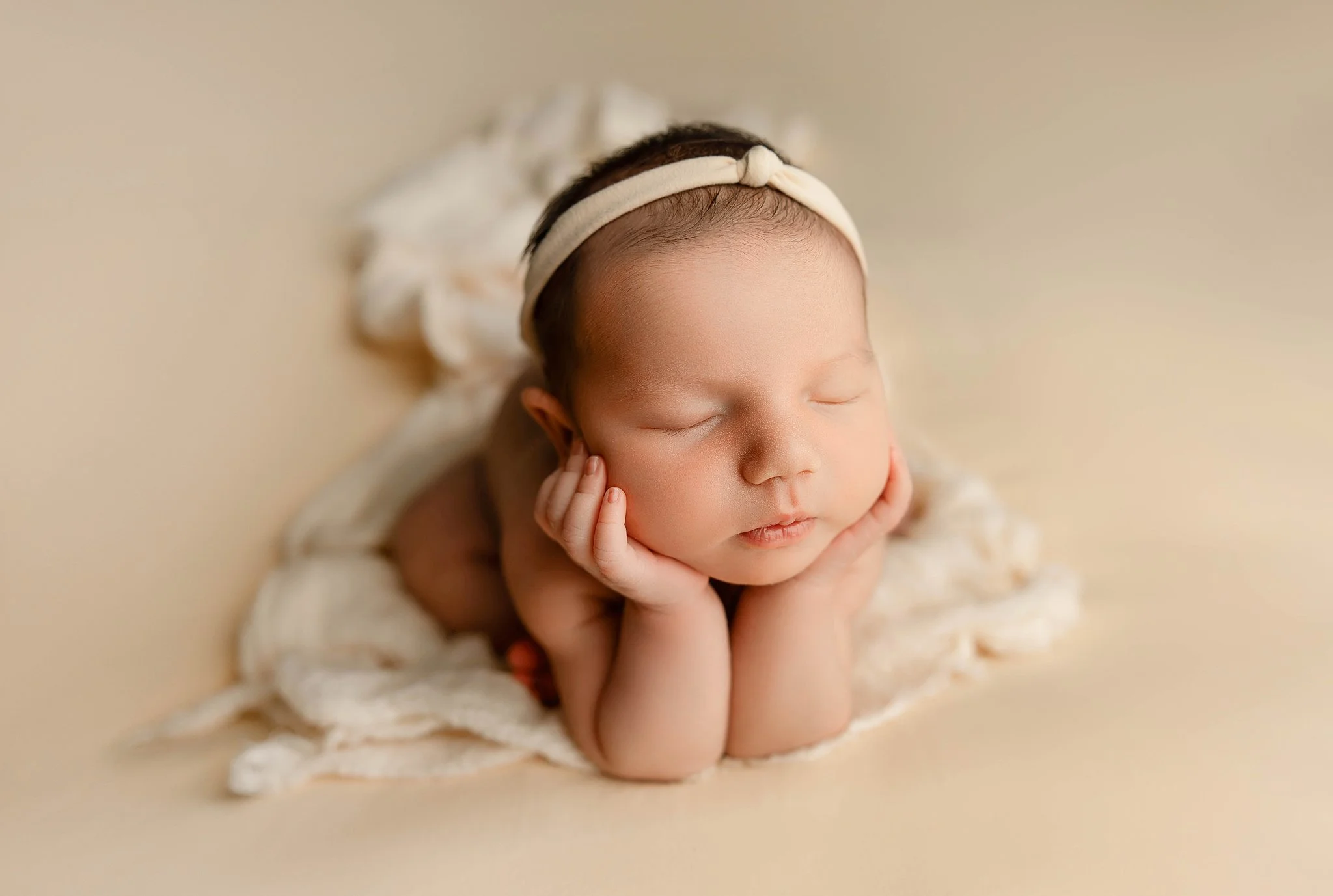 shelby township michigan newborn baby photographer