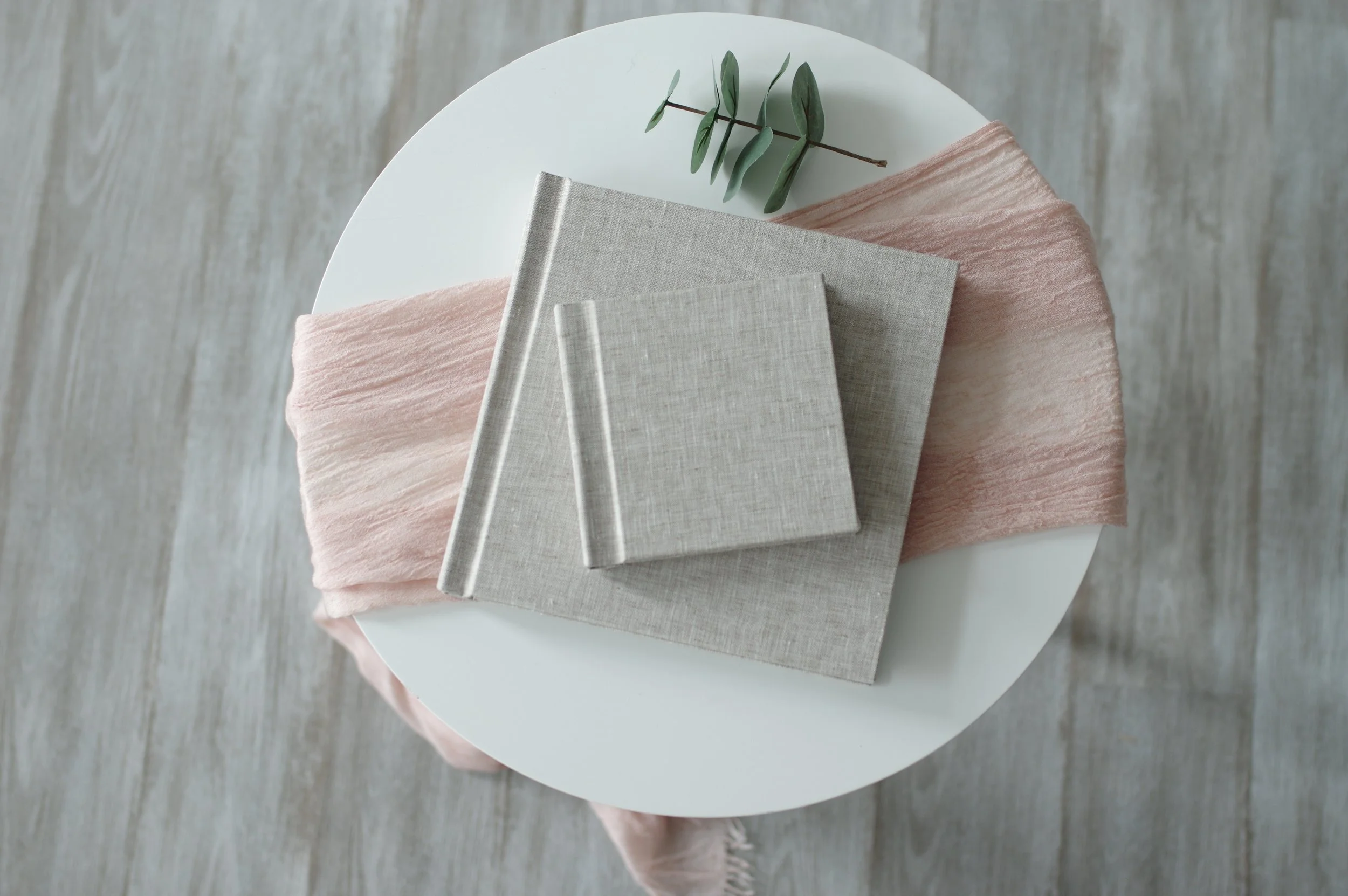 Detroit Newborn Photographer