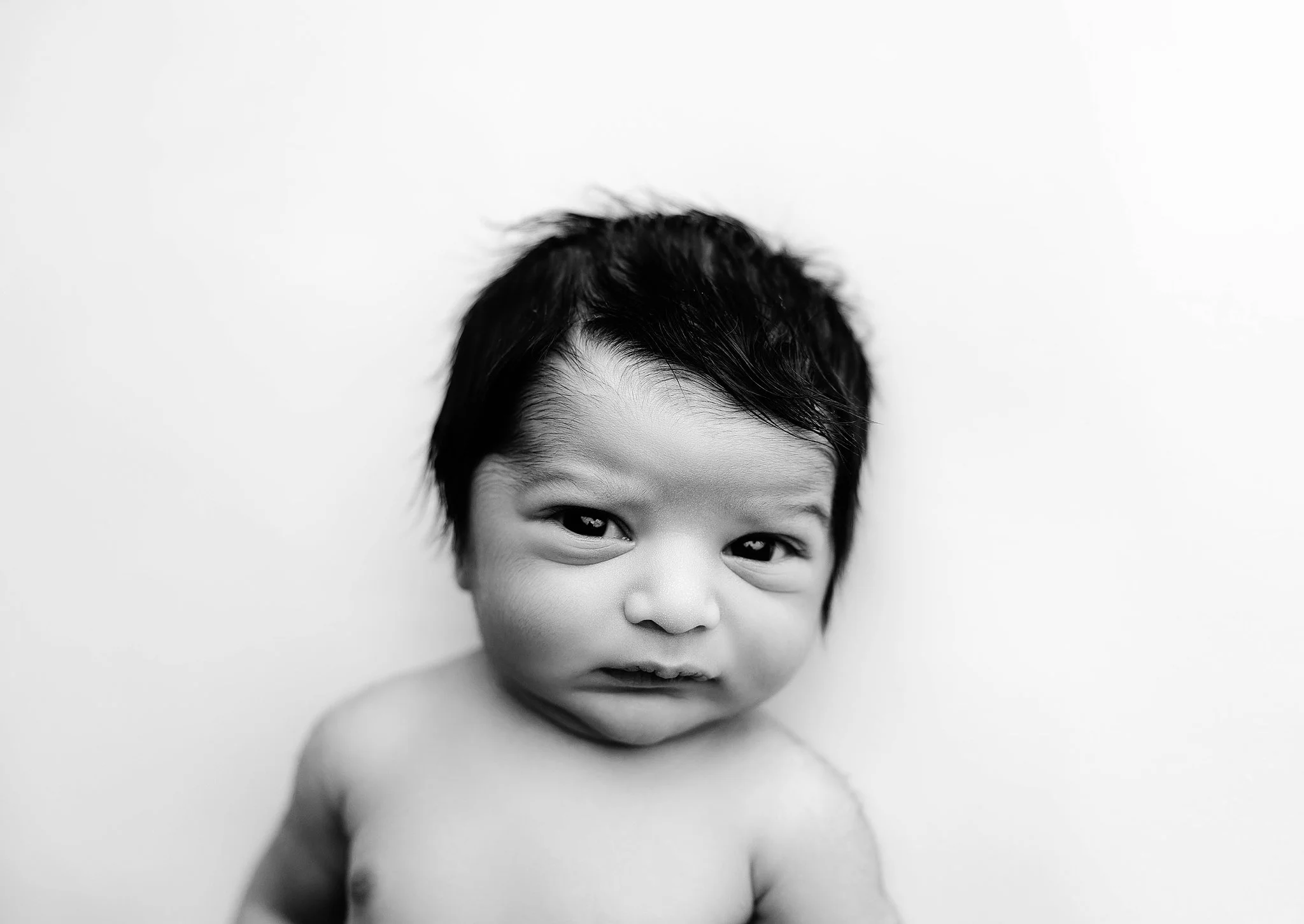 newborn baby photos detroit