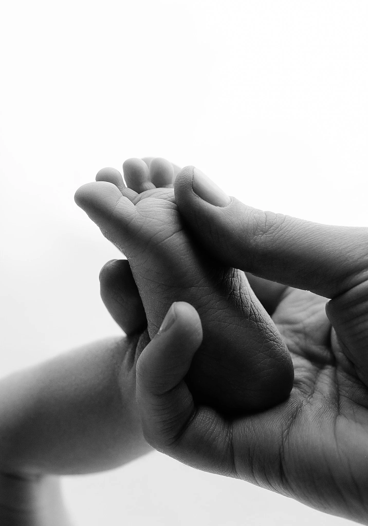 clinton-township-newborn-photography