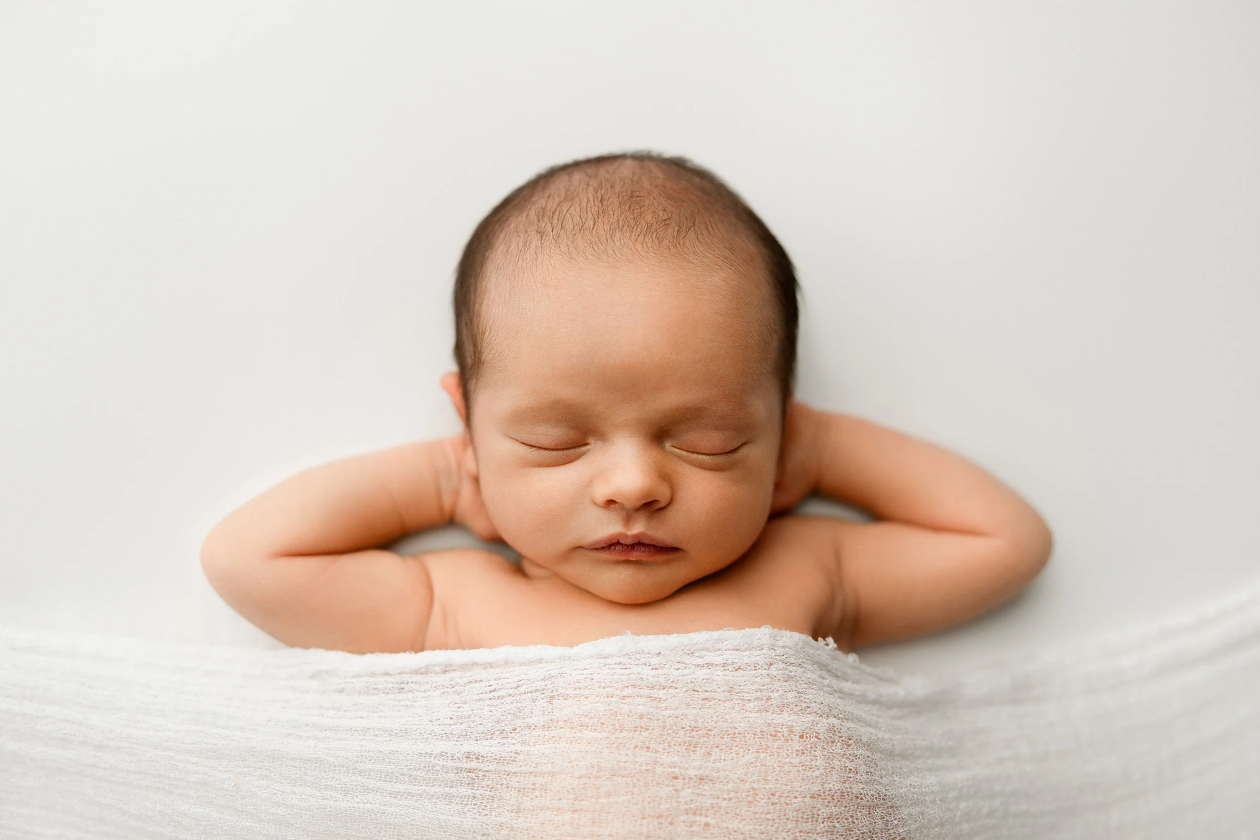 shelby township newborn photographer