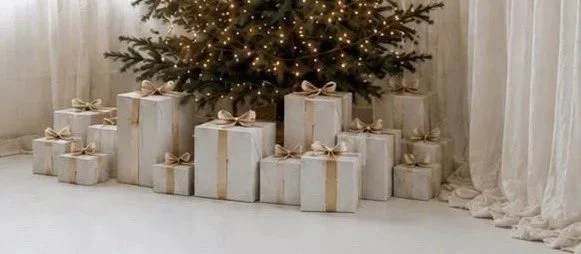 Detroit Christmas photography