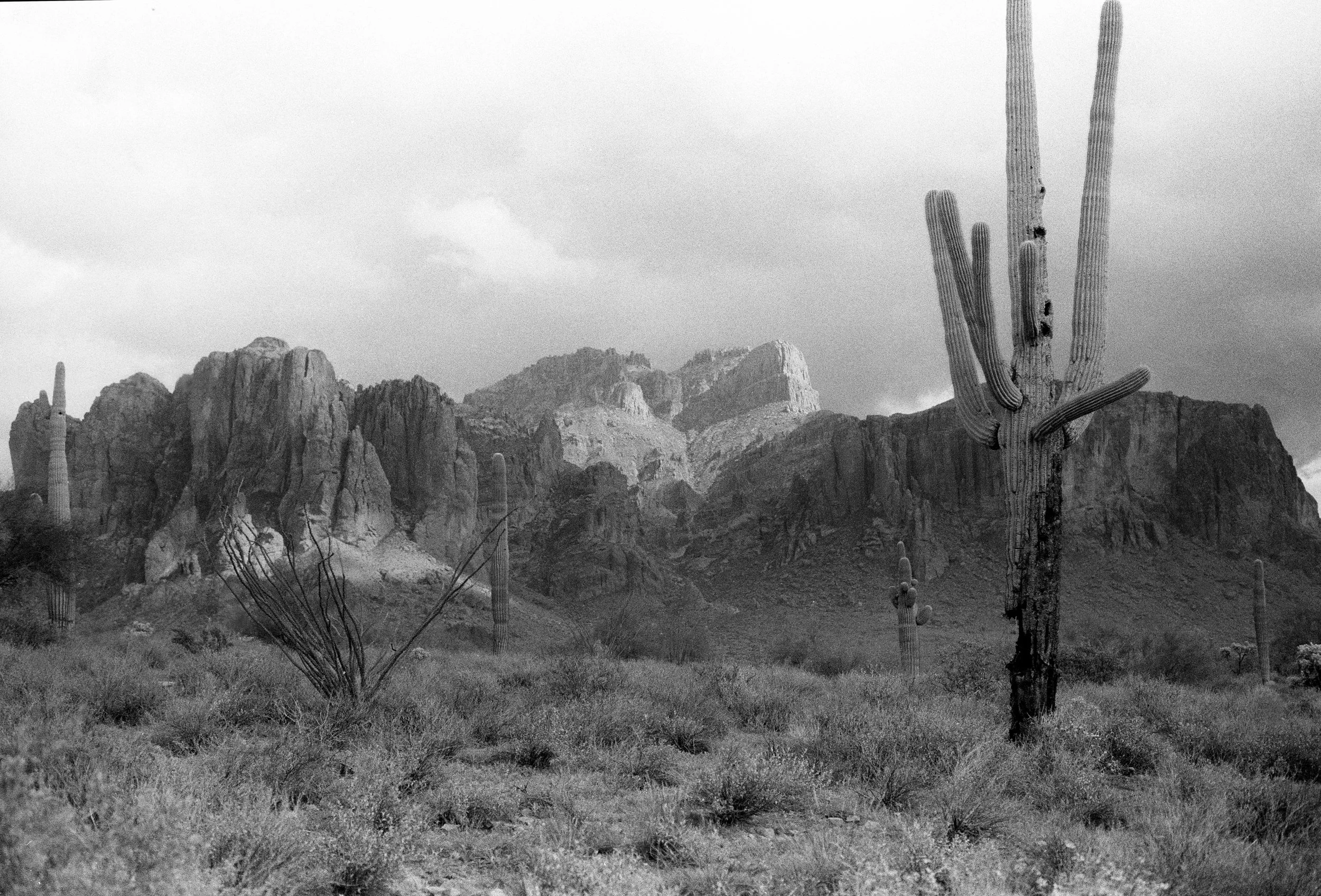 Kodak-400TX38.jpg