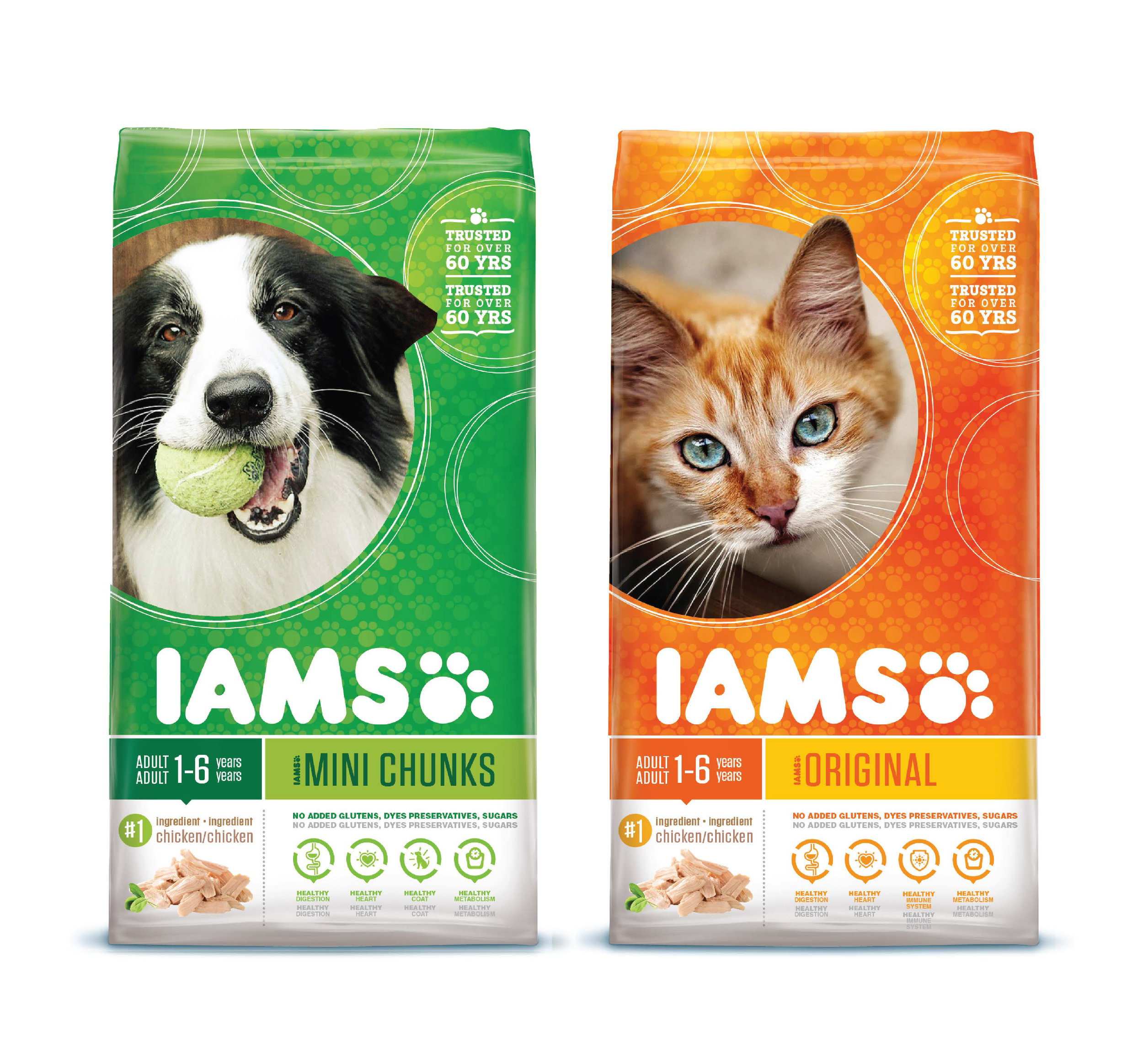 IAMS.jpg