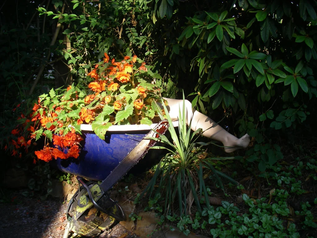 Z Chainsaws and Begonias