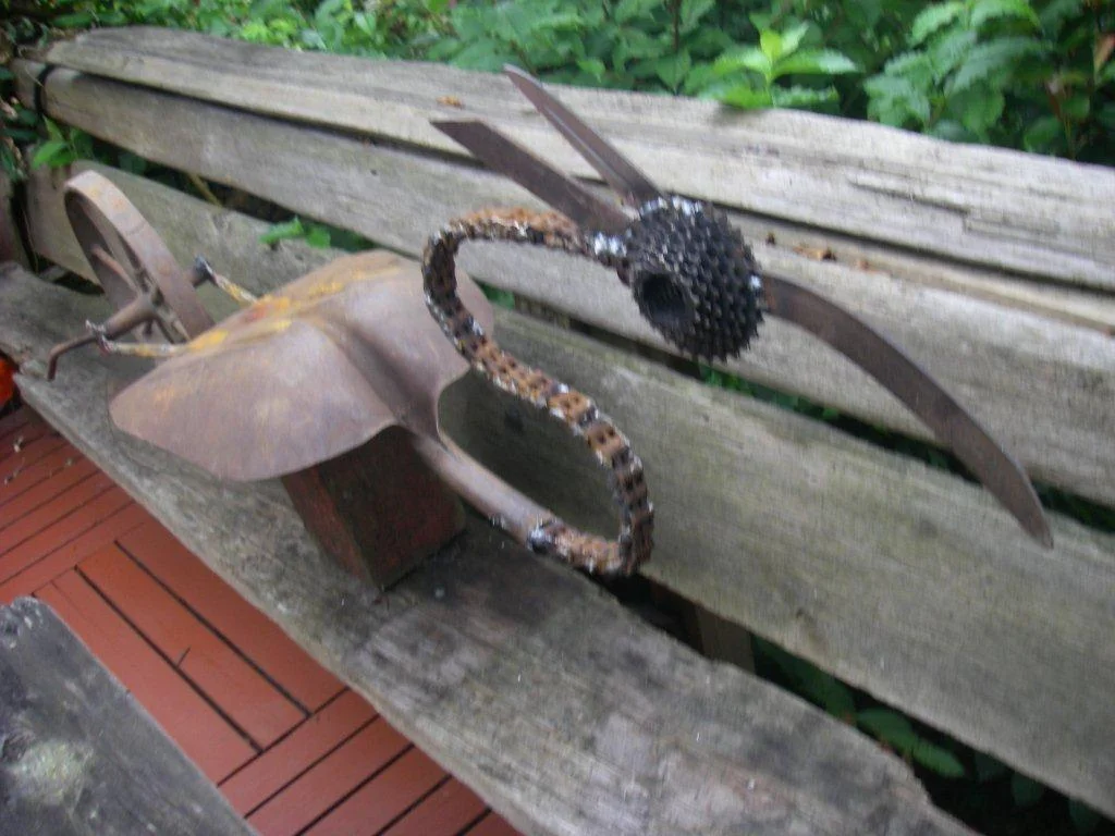 Shovel Bird