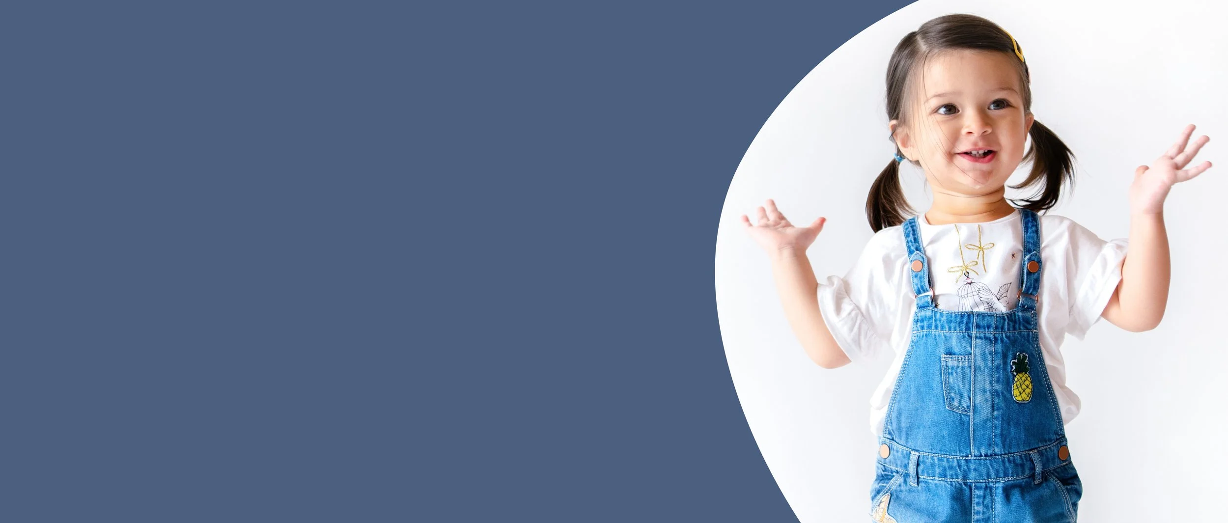 PD CSPP Blue Banner.jpg