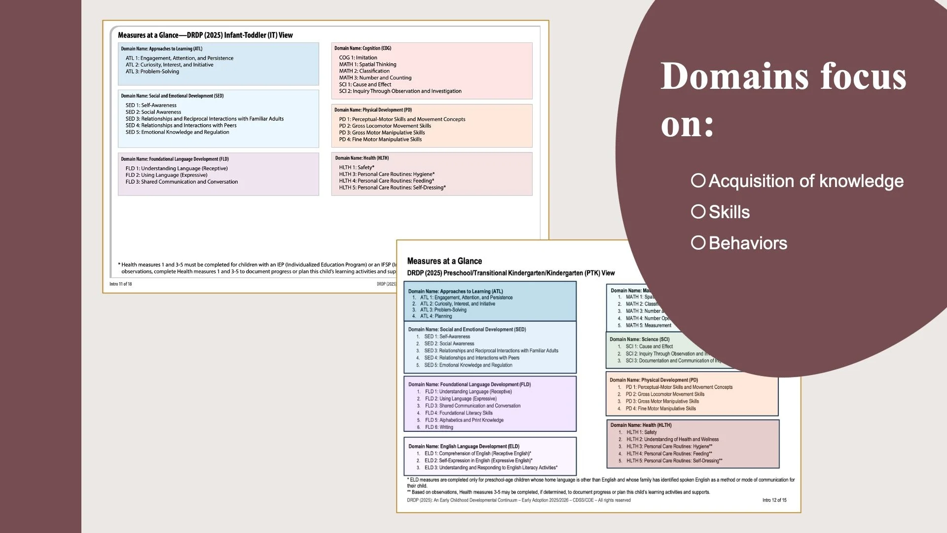 Visual of the Measures at a Glance for the IT DRDP &  PTK DRDP View displaying the domains focus on acquisition of knowledge, skills and behaviors