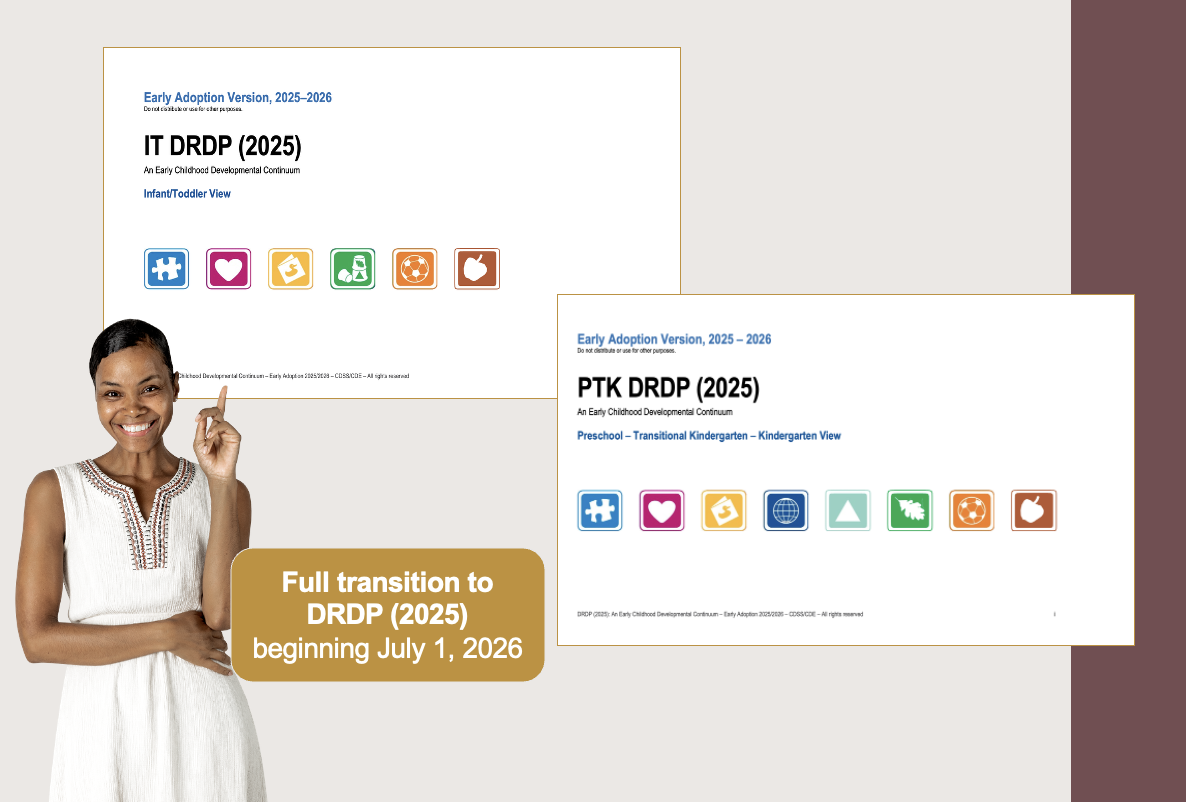 Visual of the IT DRDP & PTK DRDP (2025) Instrument