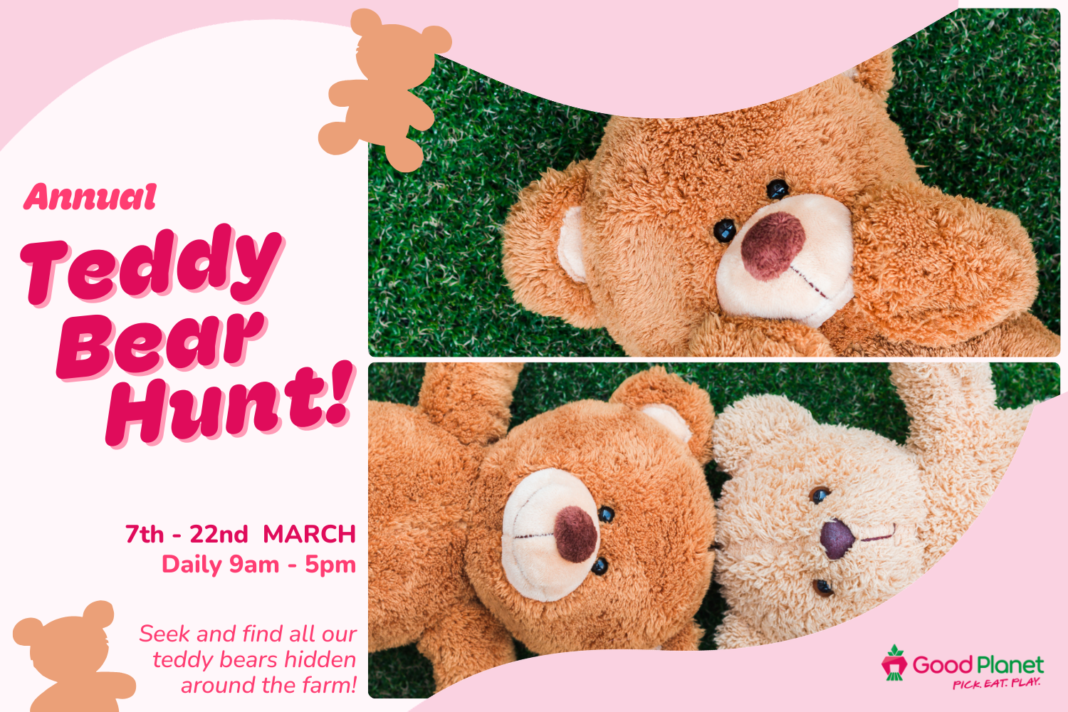 Teddy Bear Hunt!