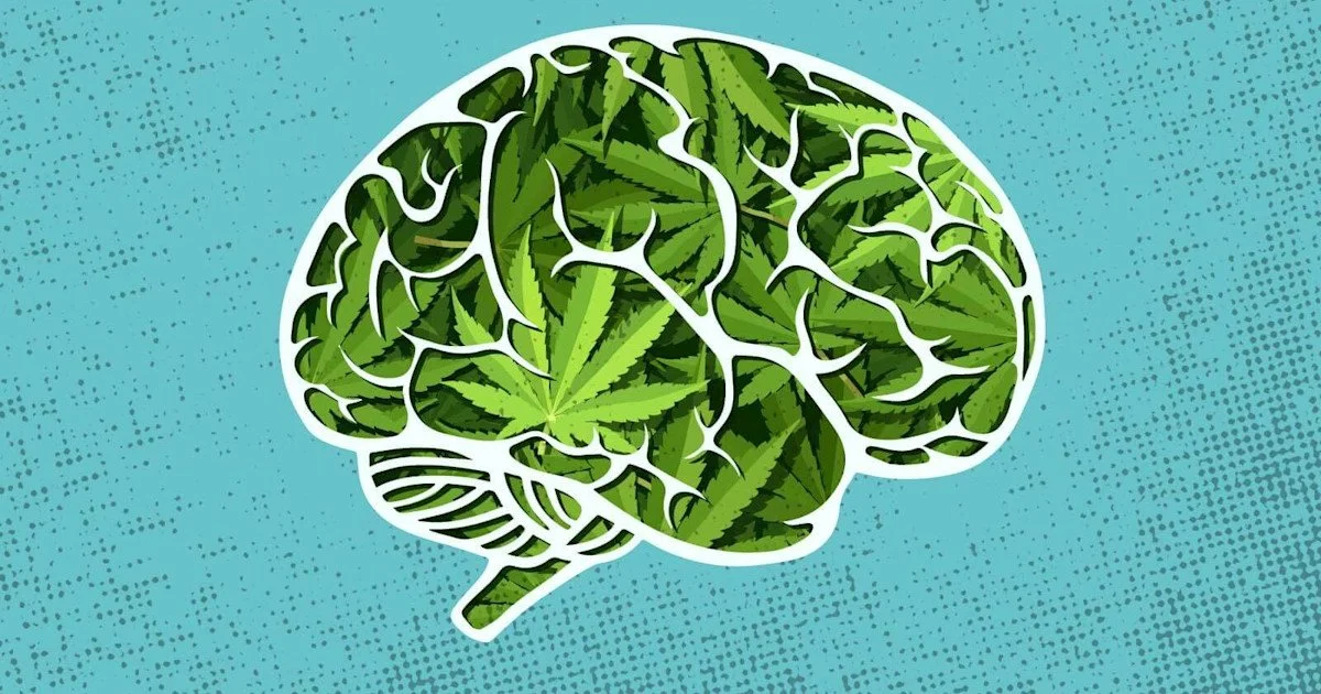 Thinking About Hemp