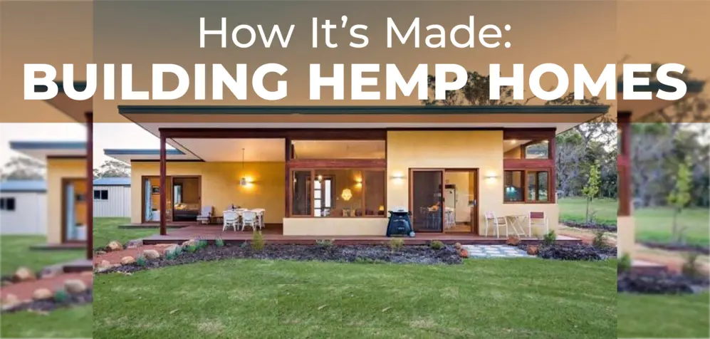 Greg Flavall Is Building The Future On A Hemp Foundation
