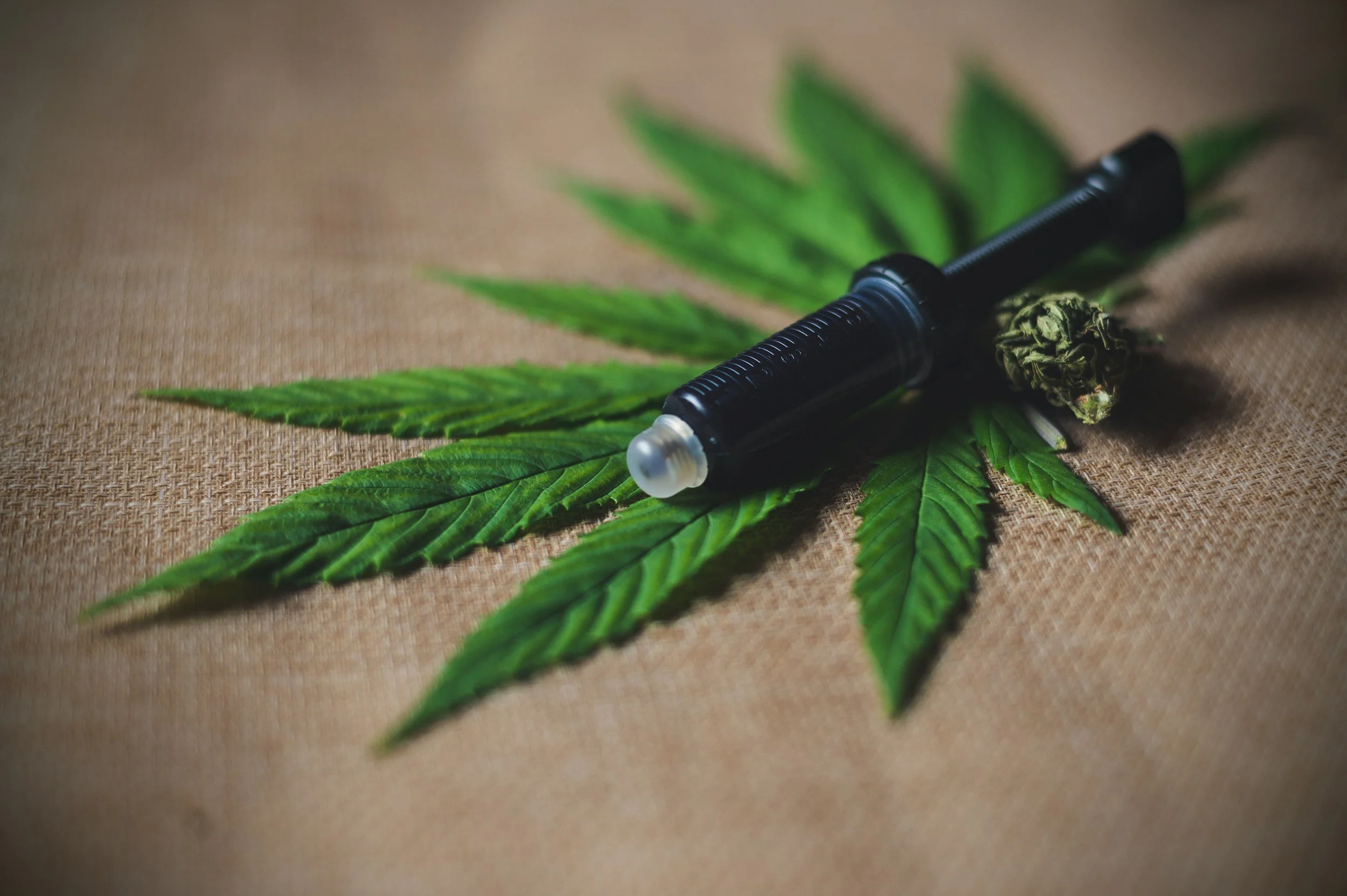 Dave Doppler: The Cannabis Oil Maker