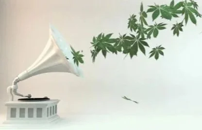 Time 4 Hemp MUSIC - New Growth
