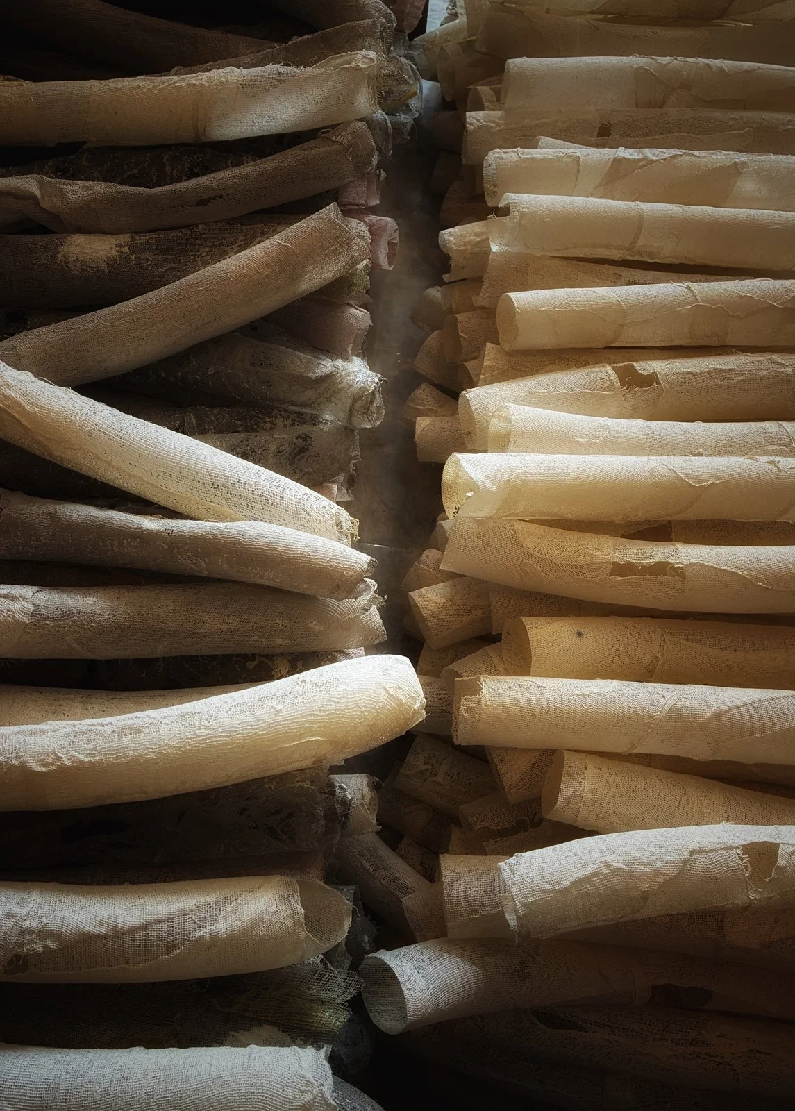 Almost Contained, Allison Hudson