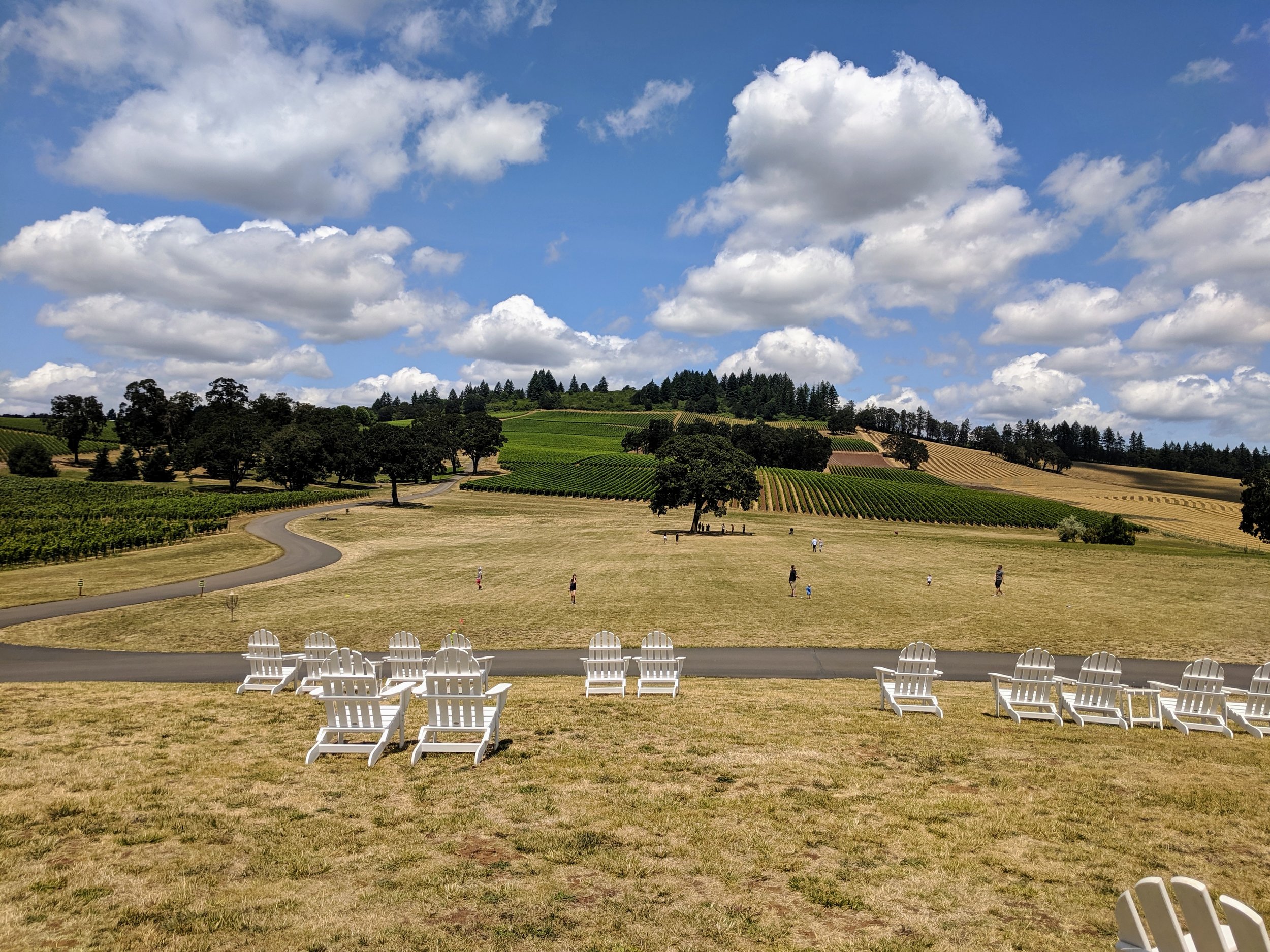  Vineyards, tire swing, and disc golf at Stoller Family Estate 