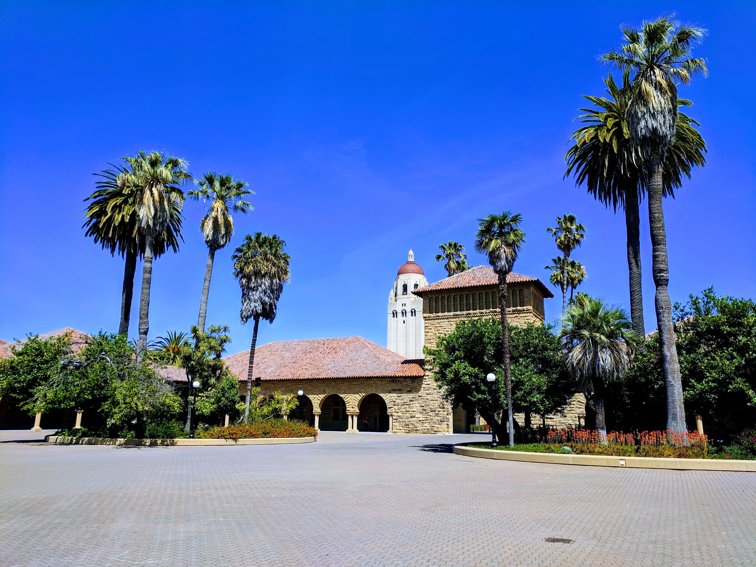  Main Quad at Stanford University 